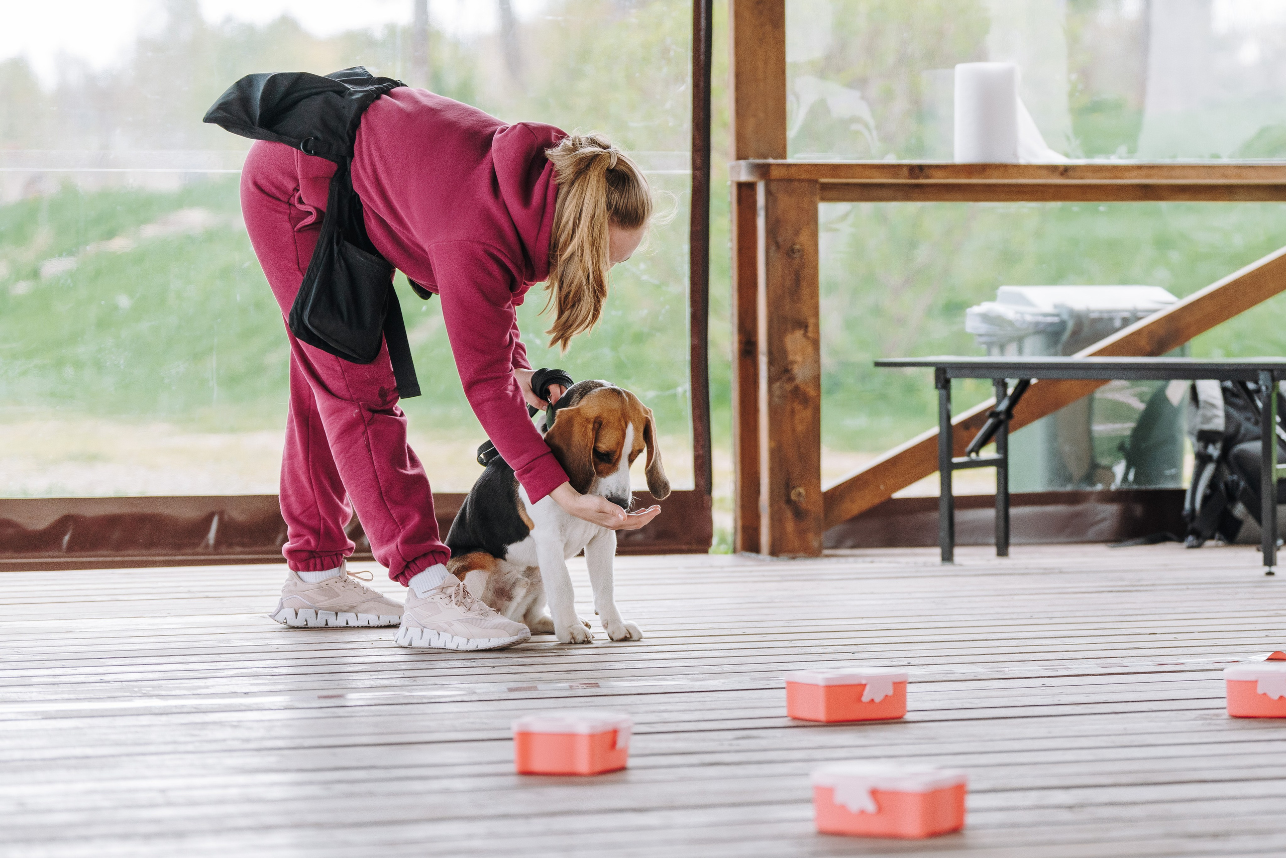 Соревнования по ноузворку в Лосево. Фотограф анималист в Спб недорого Олеся Майорова