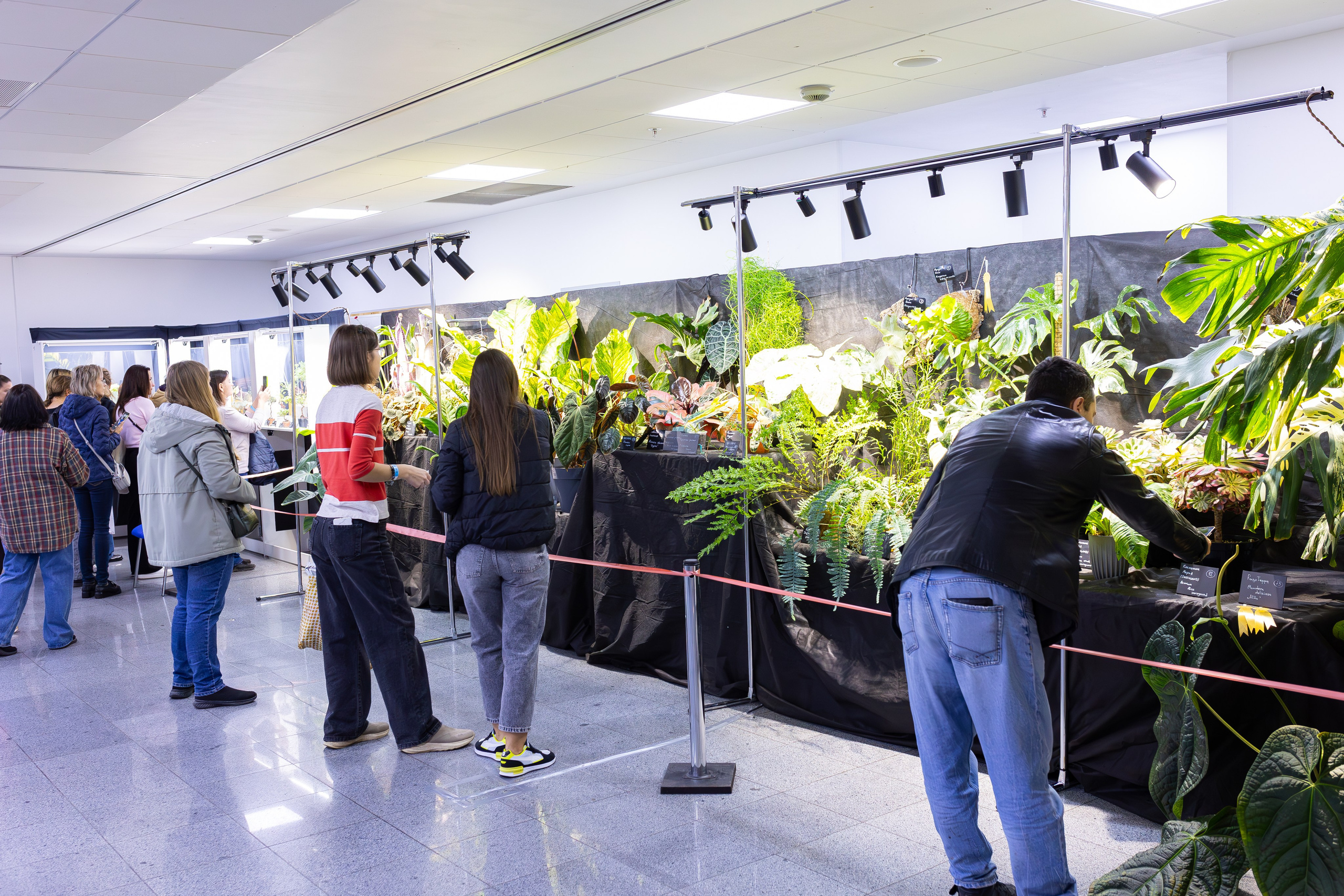 Монстериум 11–12 октября. Александра Куликова фотограф, Москва