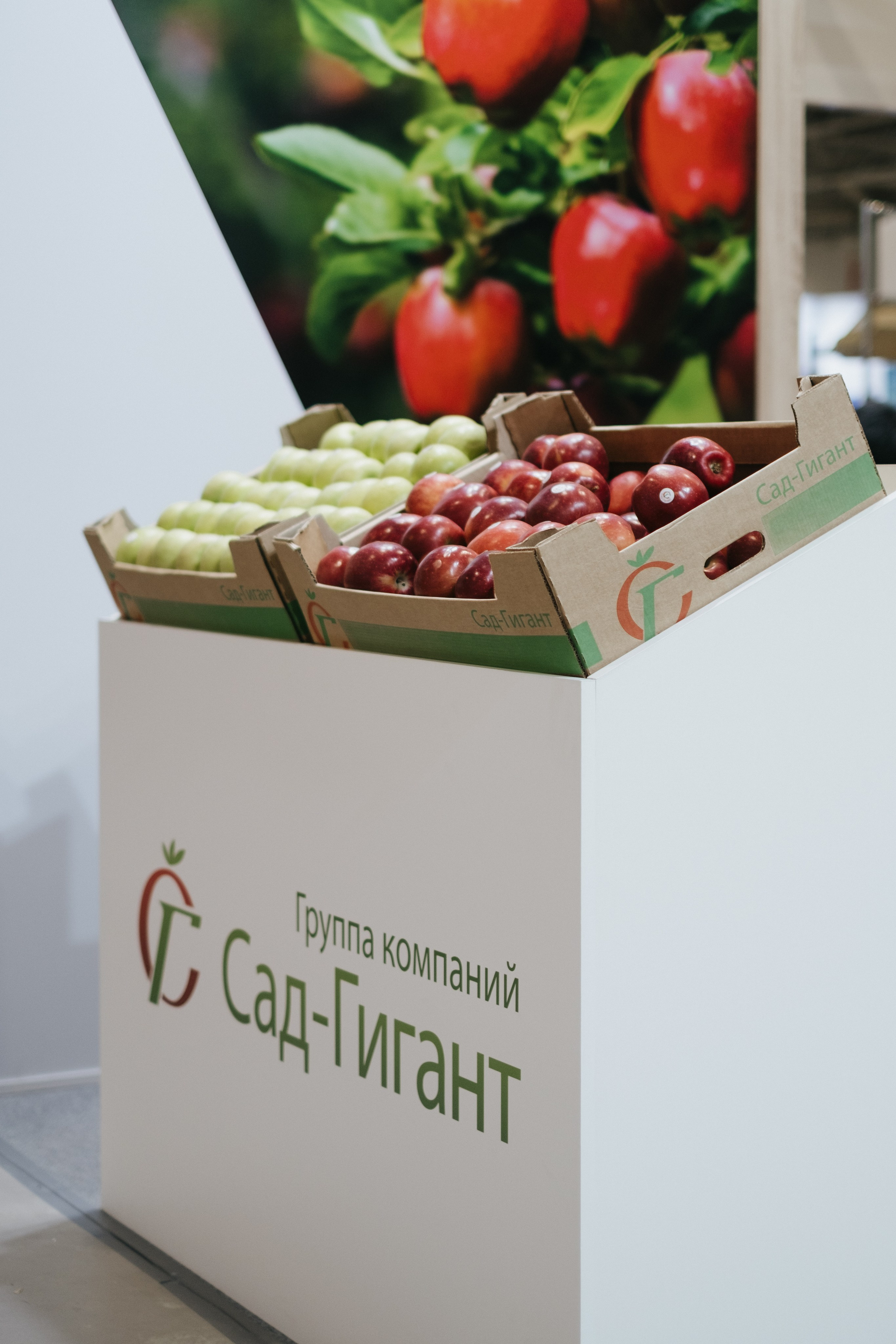 Выставка Fruit Trade: Сады и&nbsp;Виноградники в&nbsp;Краснодаре 18–19&nbsp;февраля 2025 года на&nbsp;площадке Экспоград-Юг