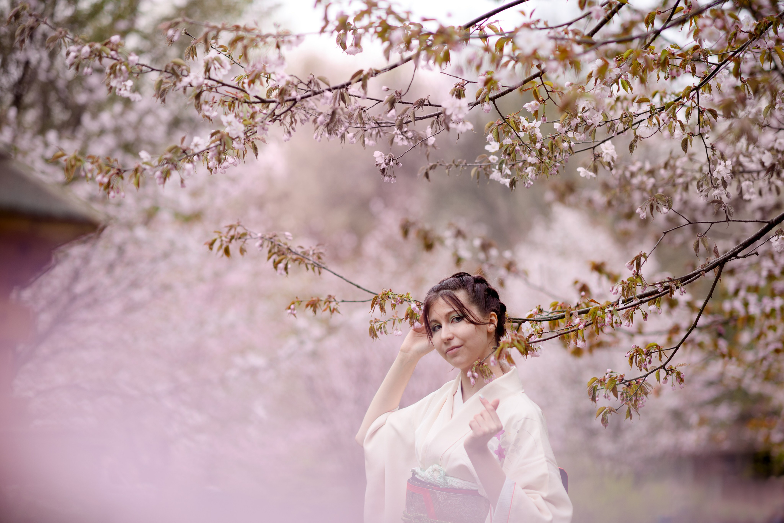 Любование сакурой в Бирюлевском дендропарке. Главная