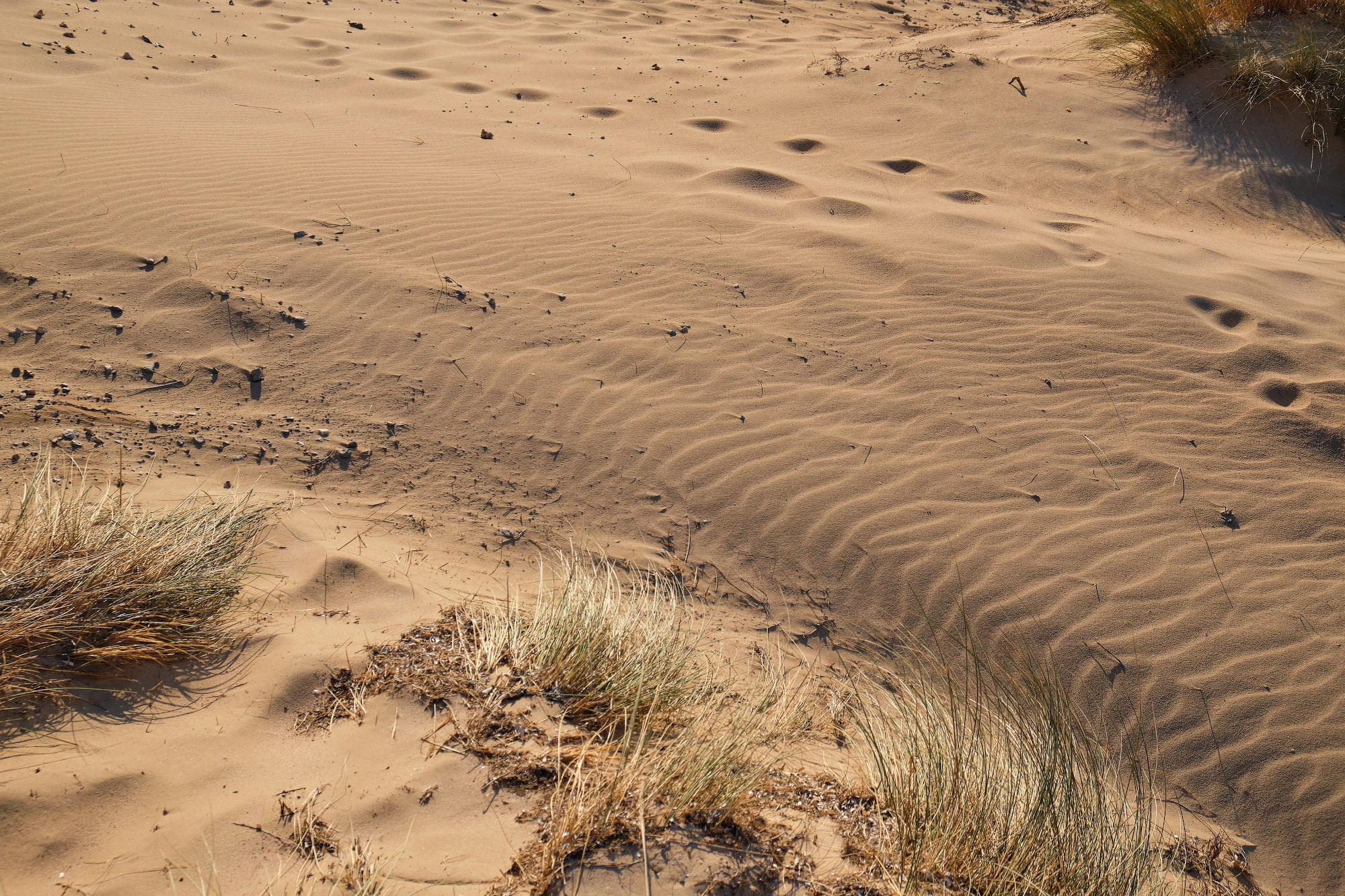 Крит 2019. Репортажный фотограф Дмитрий Литвинский. Минск, Беларусь, мир