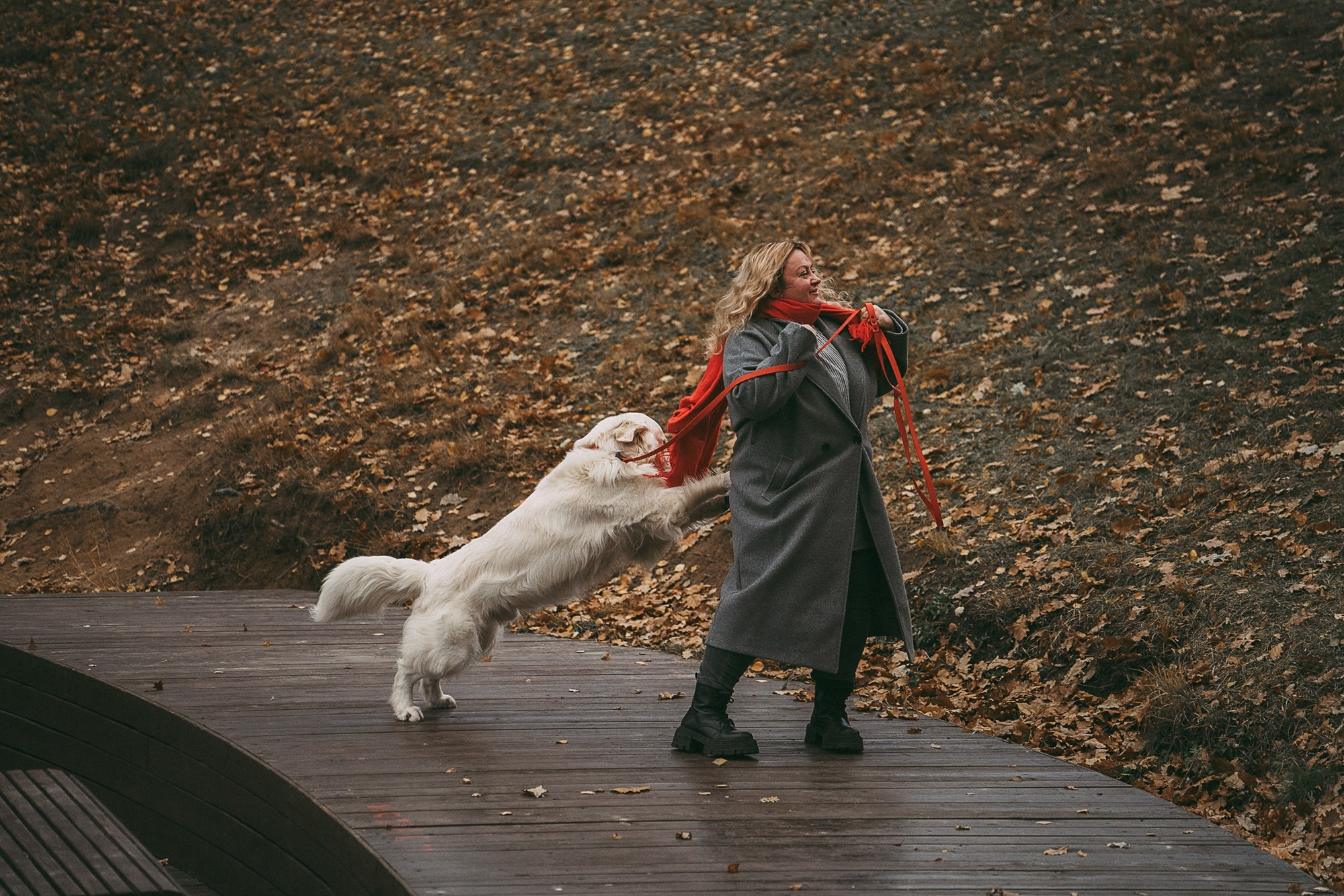 Лена и Мерлин. Фотограф анималист в Москве и Санкт-Петербурге Свиридова Анна