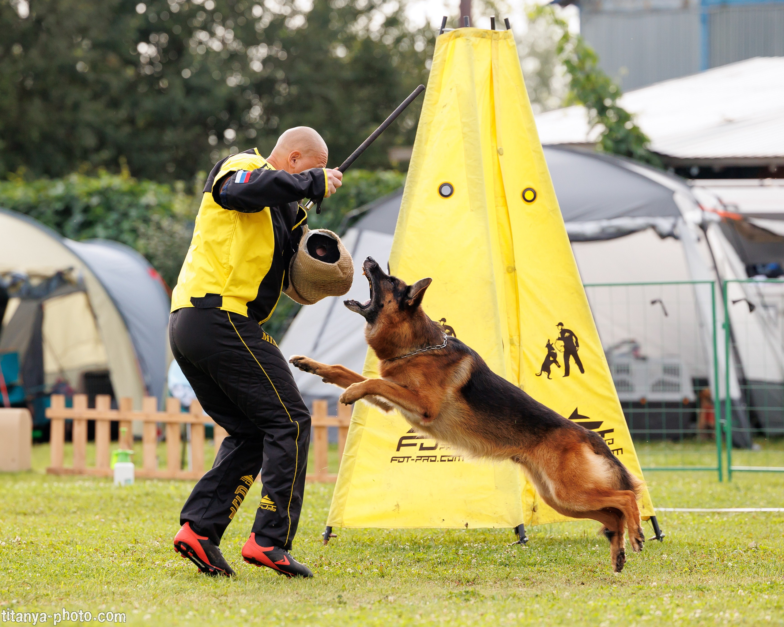 Фотографии с монопородных выставок немецких овчарок. Фотограф собак, фотограф-анималист Аня Титова (Titanya). Москва