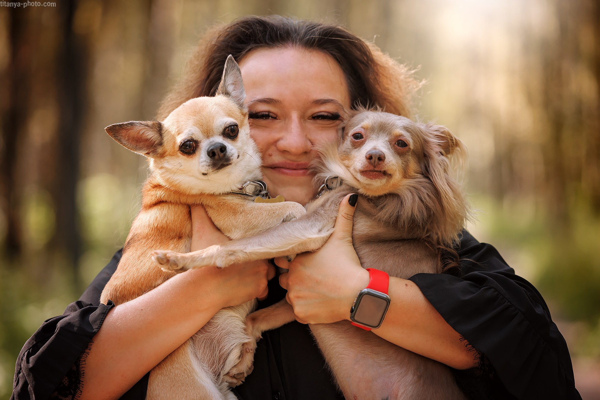 Нармина, Кураж и Тор. Фотограф собак, фотограф-анималист Аня Титова (Titanya). Москва