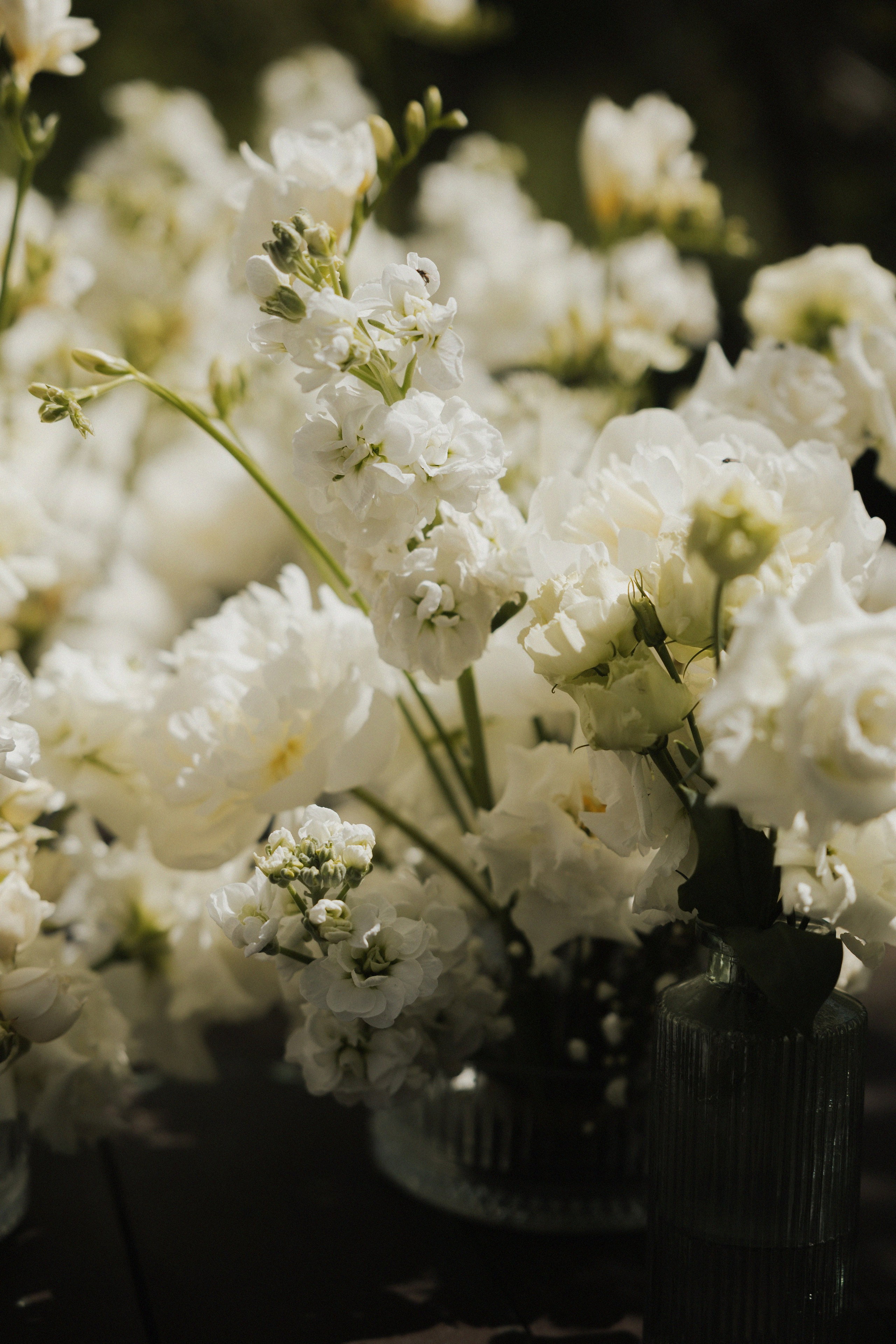 Никита и Ксения. Свадебный фотограф в Рязани и Москве Евгения Жмурова