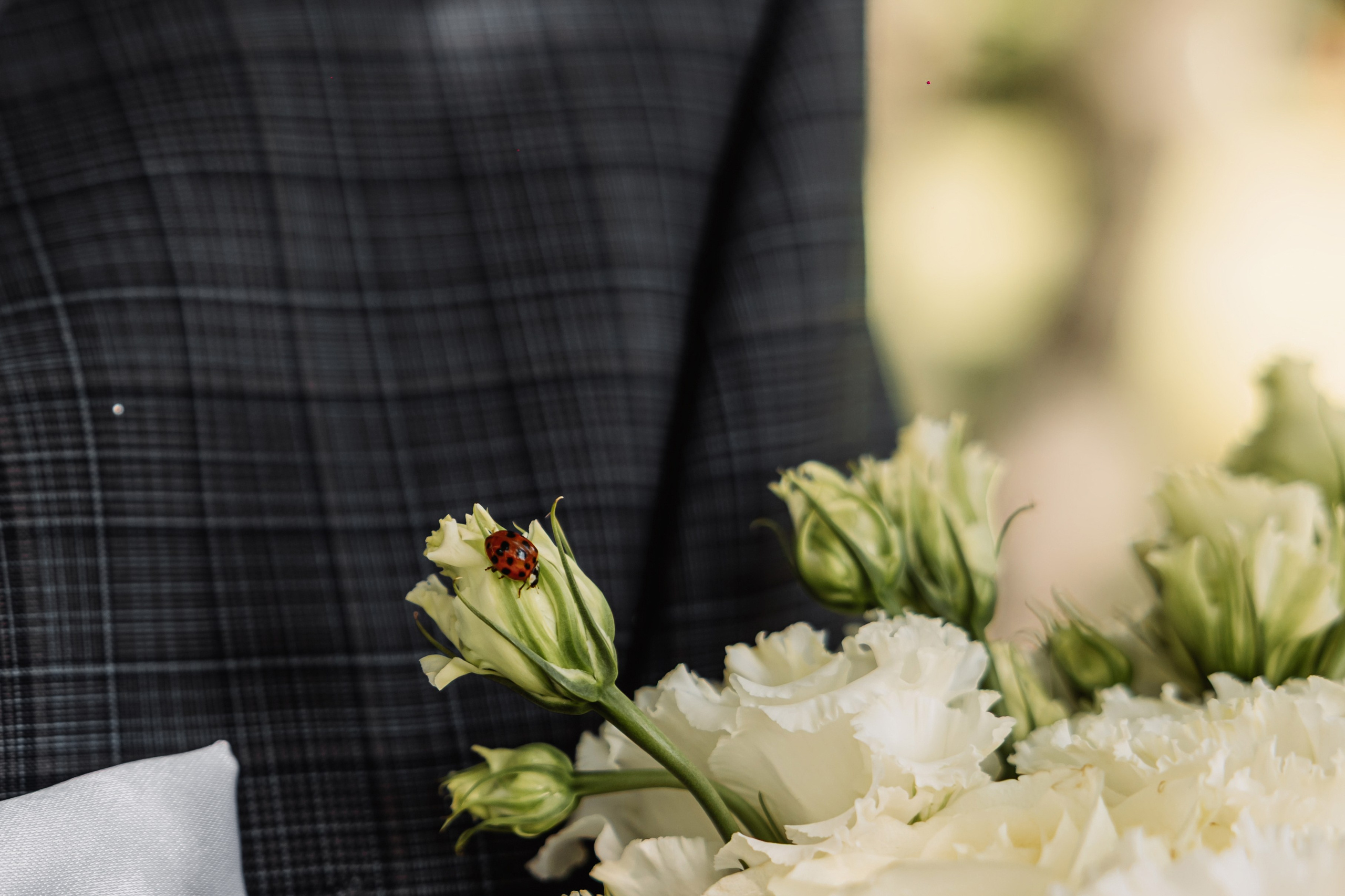 Соня и Платон. ФОТОГРАФ ИРИНА ШАМАТАВА