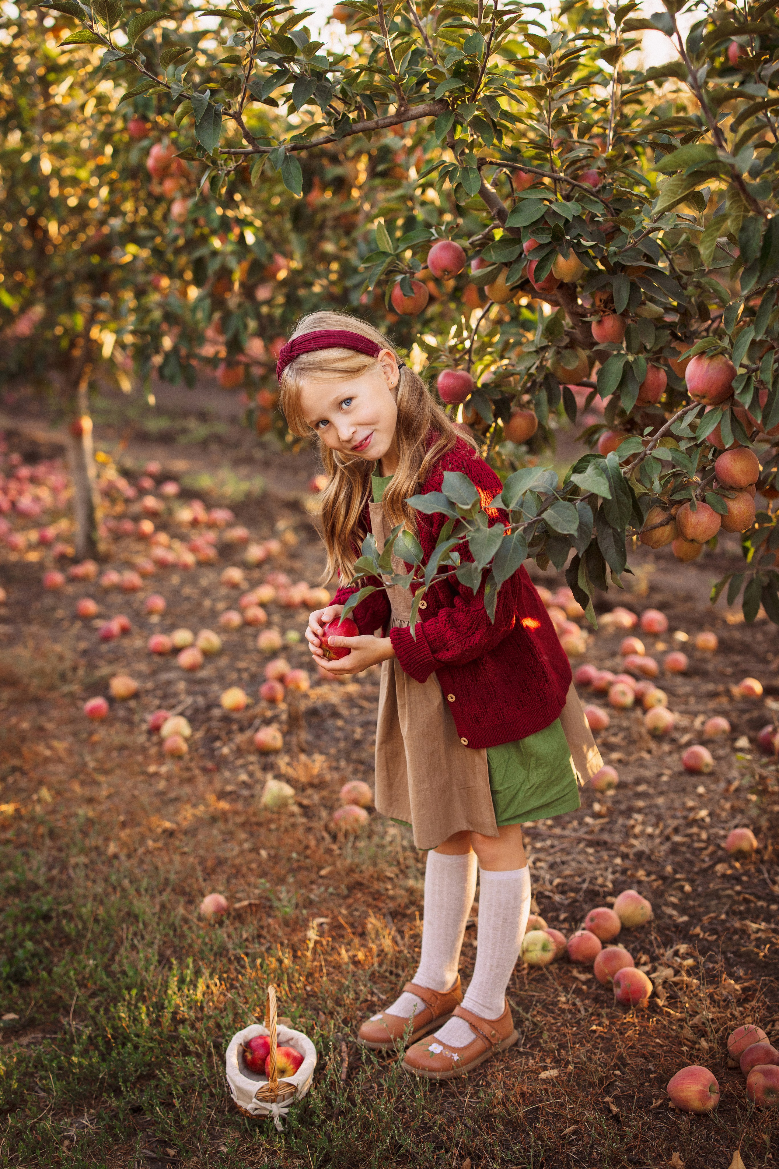 Сбор урожая Яблок. Семейный и детский фотограф в Краснодаре Анна Трашкова
