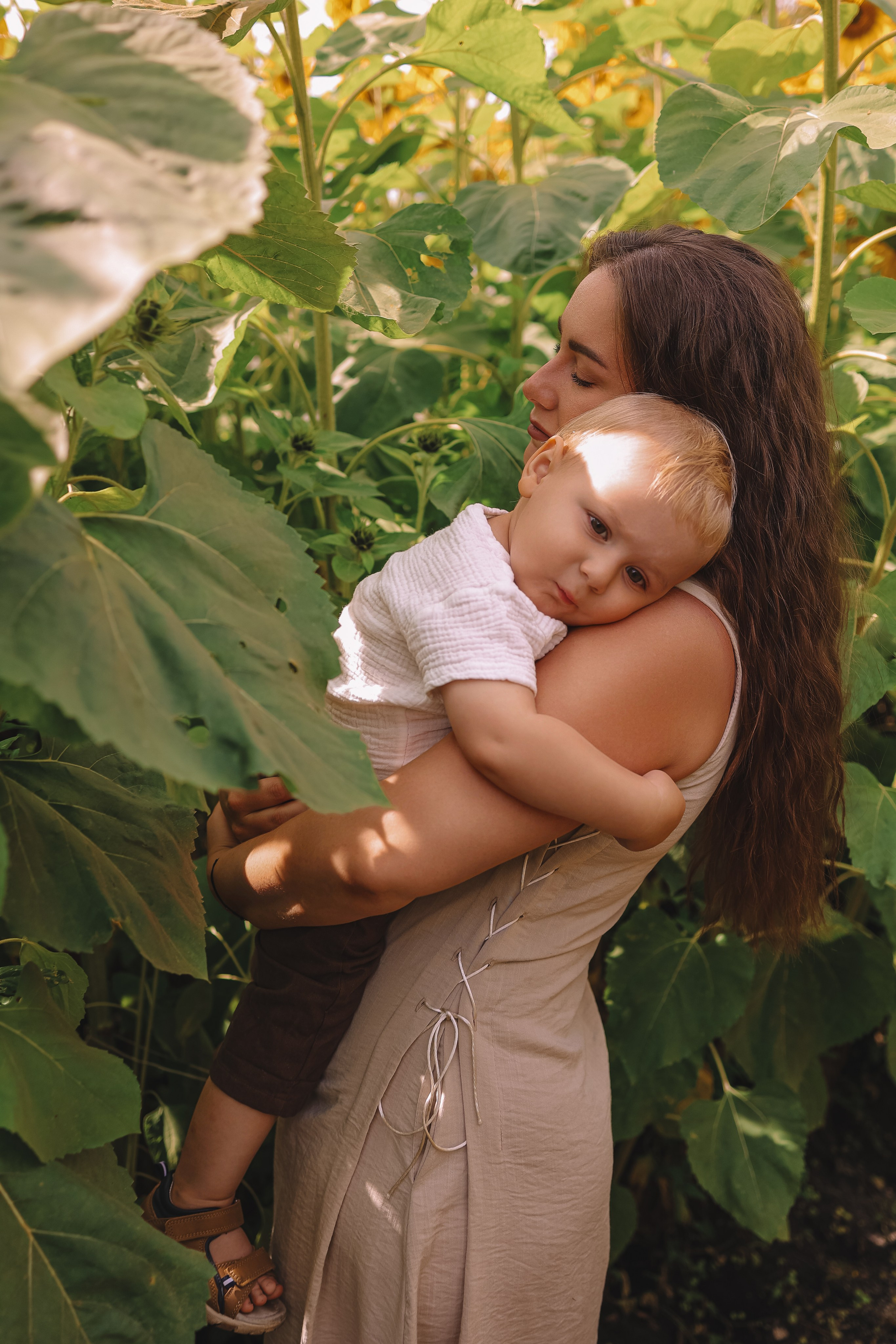 Подсолнухи. Семейный фотограф Тюмень, фотограф на роды Салмина Мария