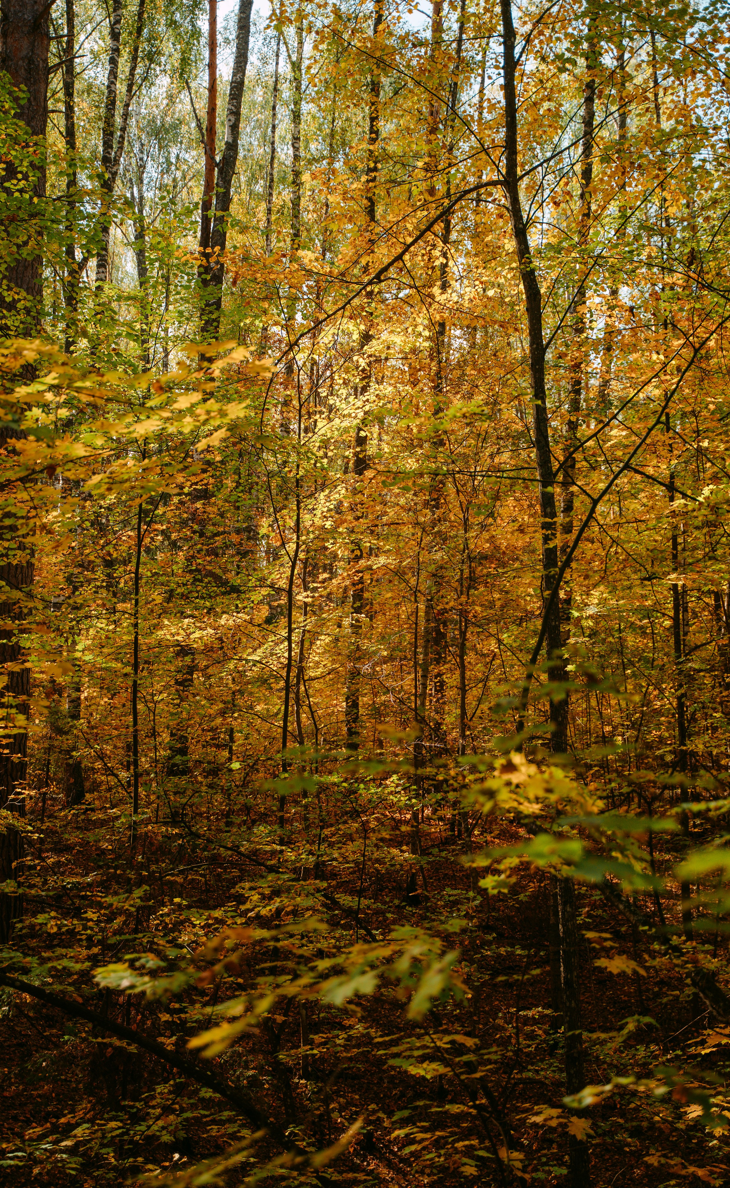 Good Friends Trip / команда локальных путешествий. Саша Копылов, фотограф в Казани