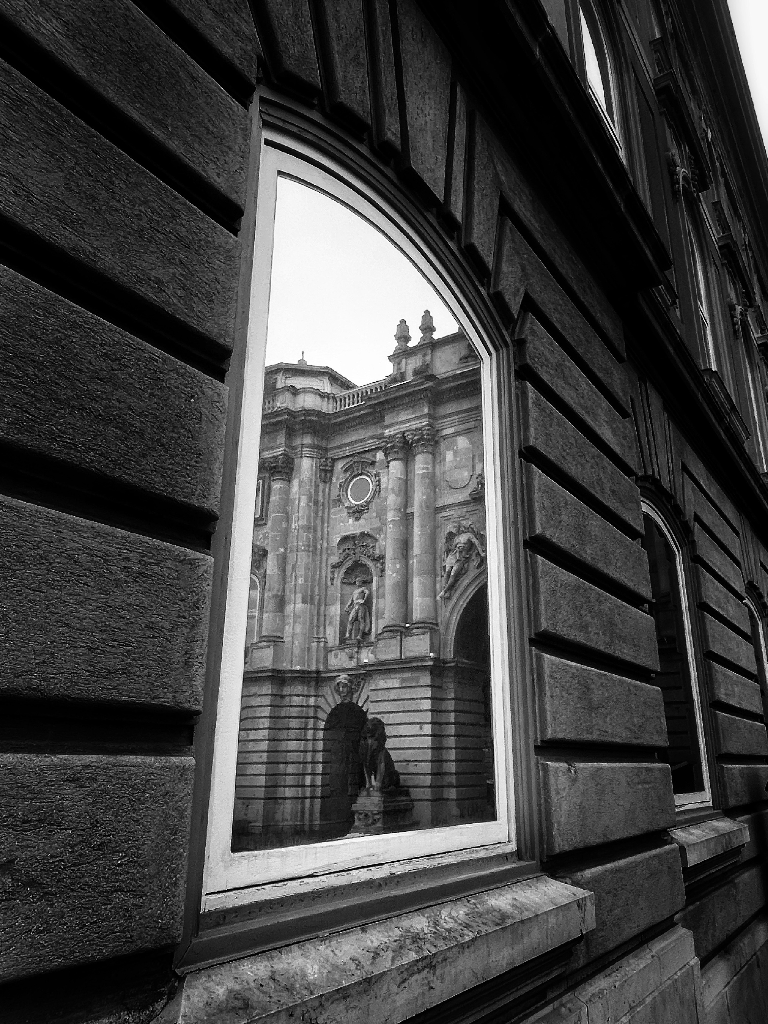 eflection in the window