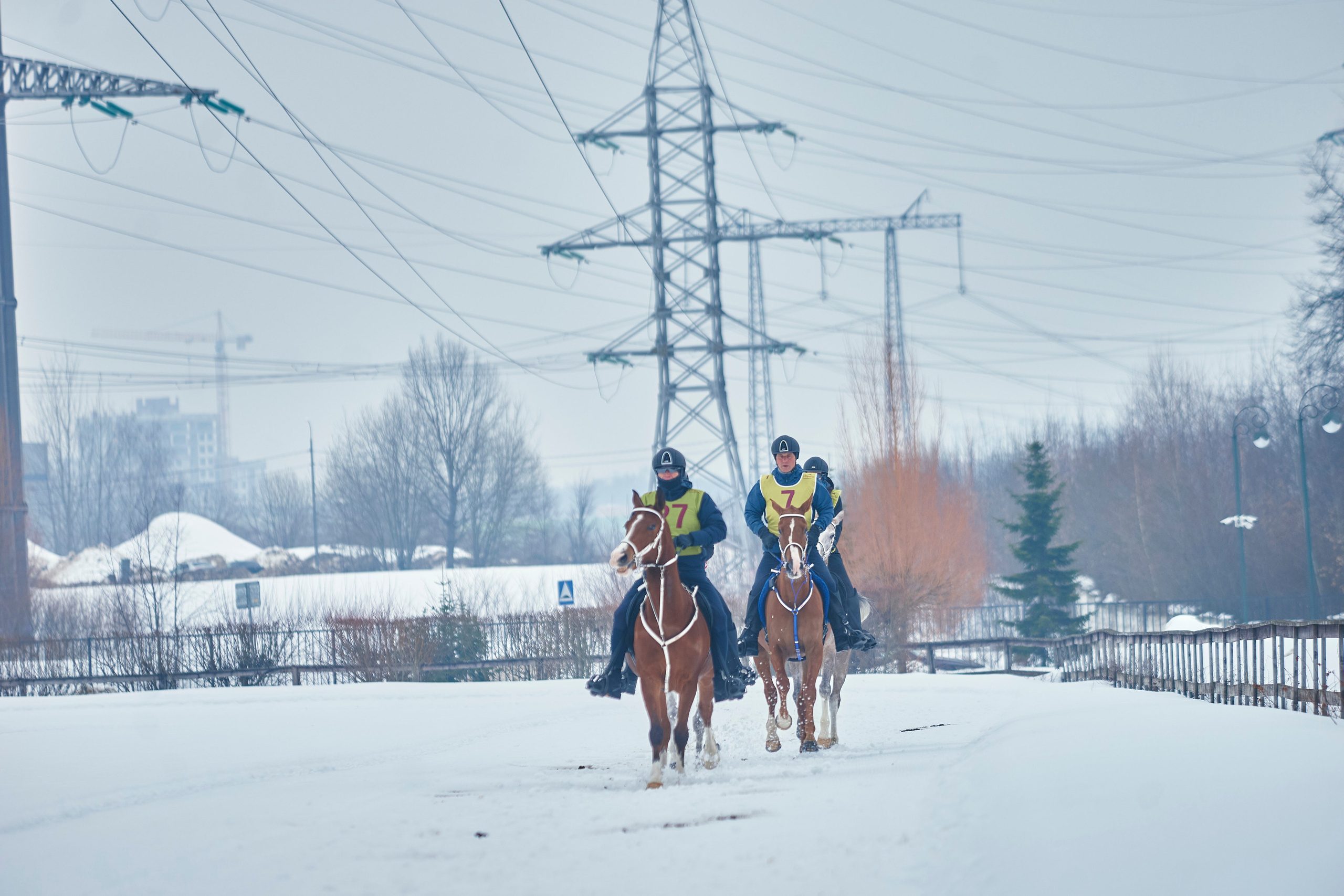 HORSE RACING. Фотограф Наталья Леонова