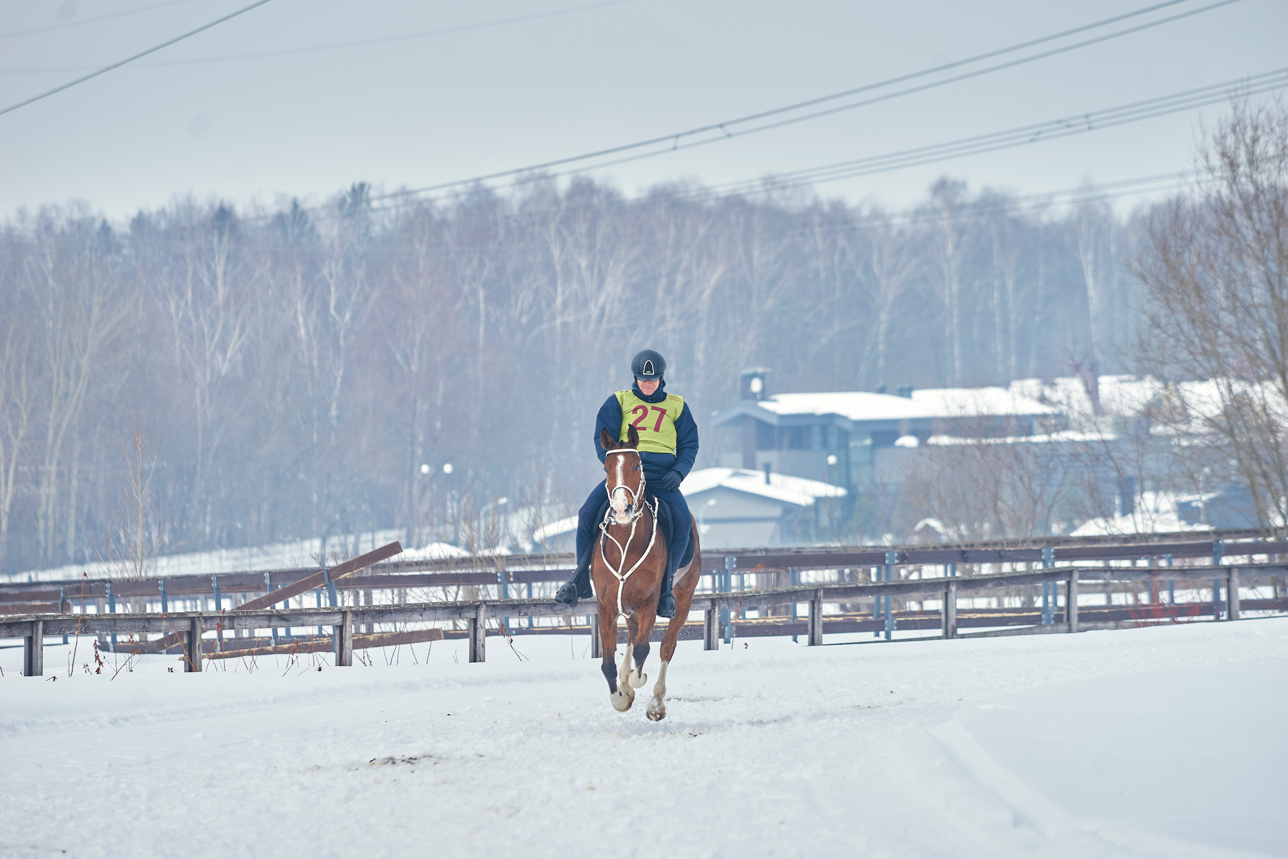 HORSE RACING. Фотограф Наталья Леонова