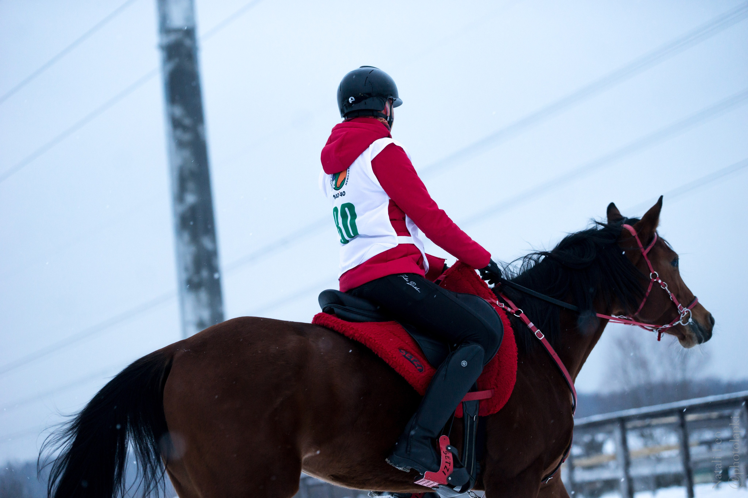 HORSE RACING. Фотограф Наталья Леонова