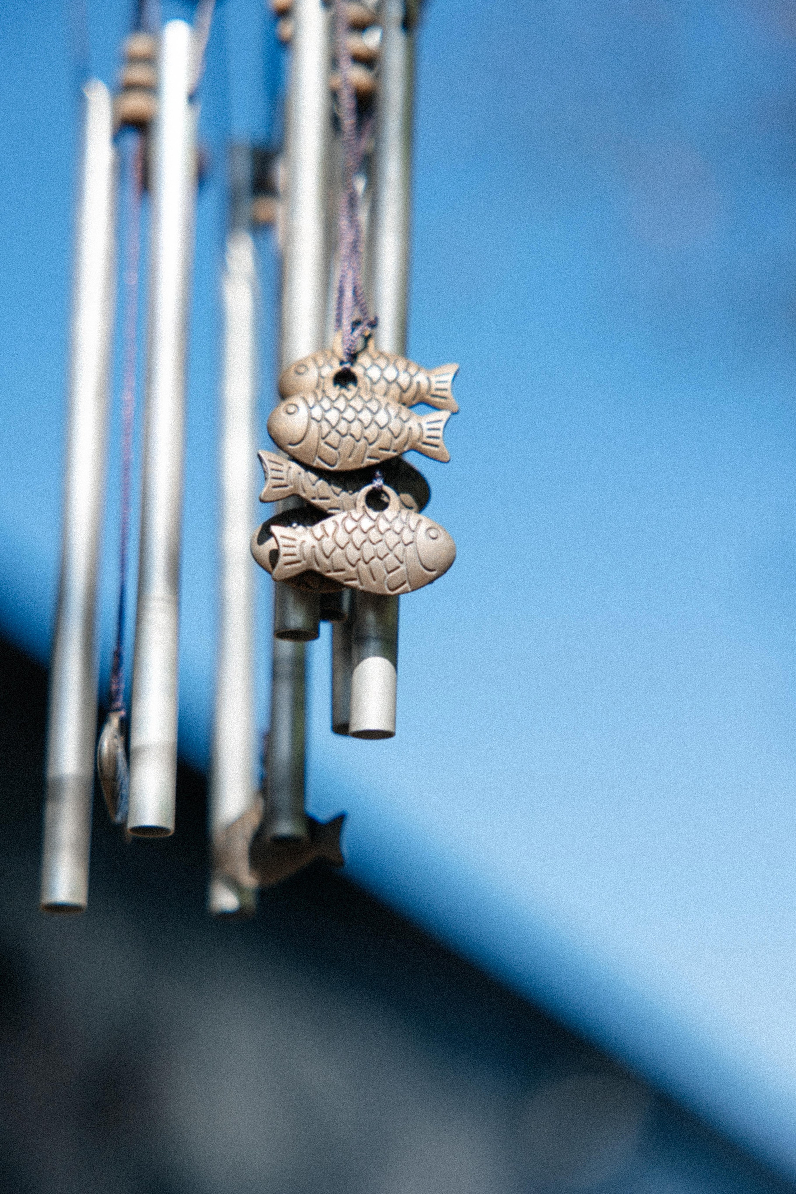 Эмиль и Ярослава. Свадебный фотограф Ирнис Дильмухаметов