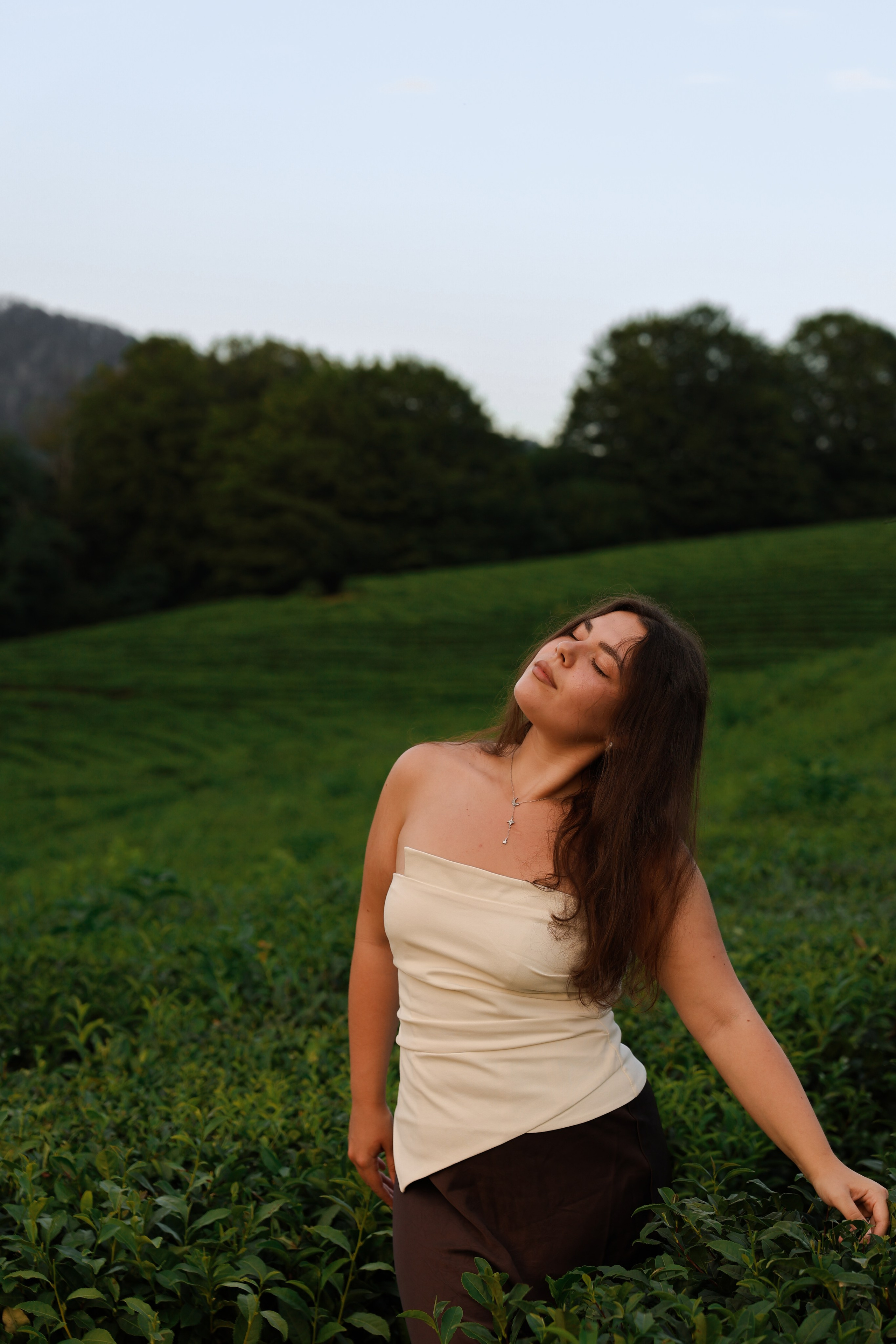 ЧАЙНЫЕ ПЛАНТАЦИИ. Фотограф Москва Оля Олбимак