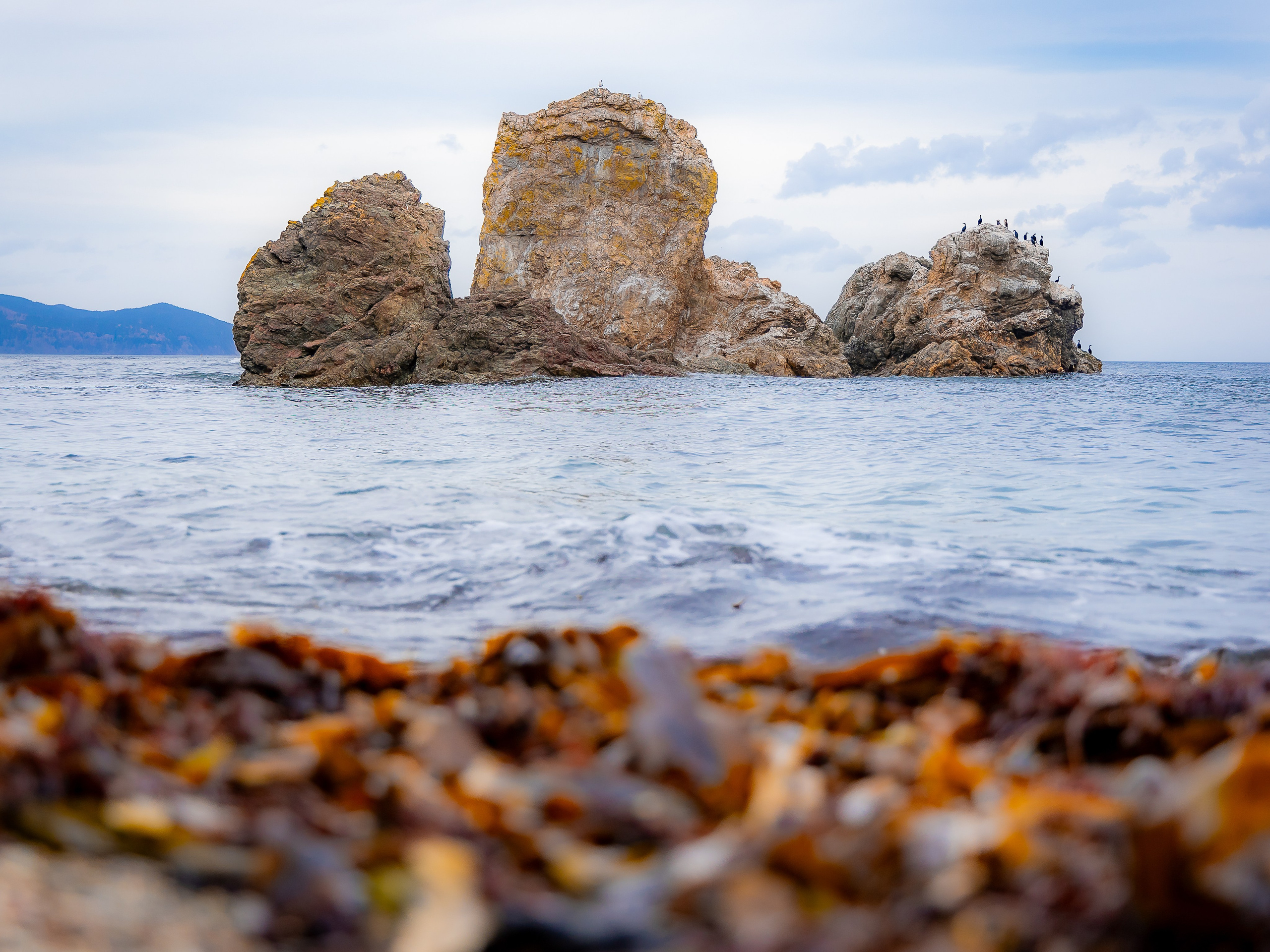 Мыс Великан. Инга Кузьминская ТОП-фотограф г. Корсаков