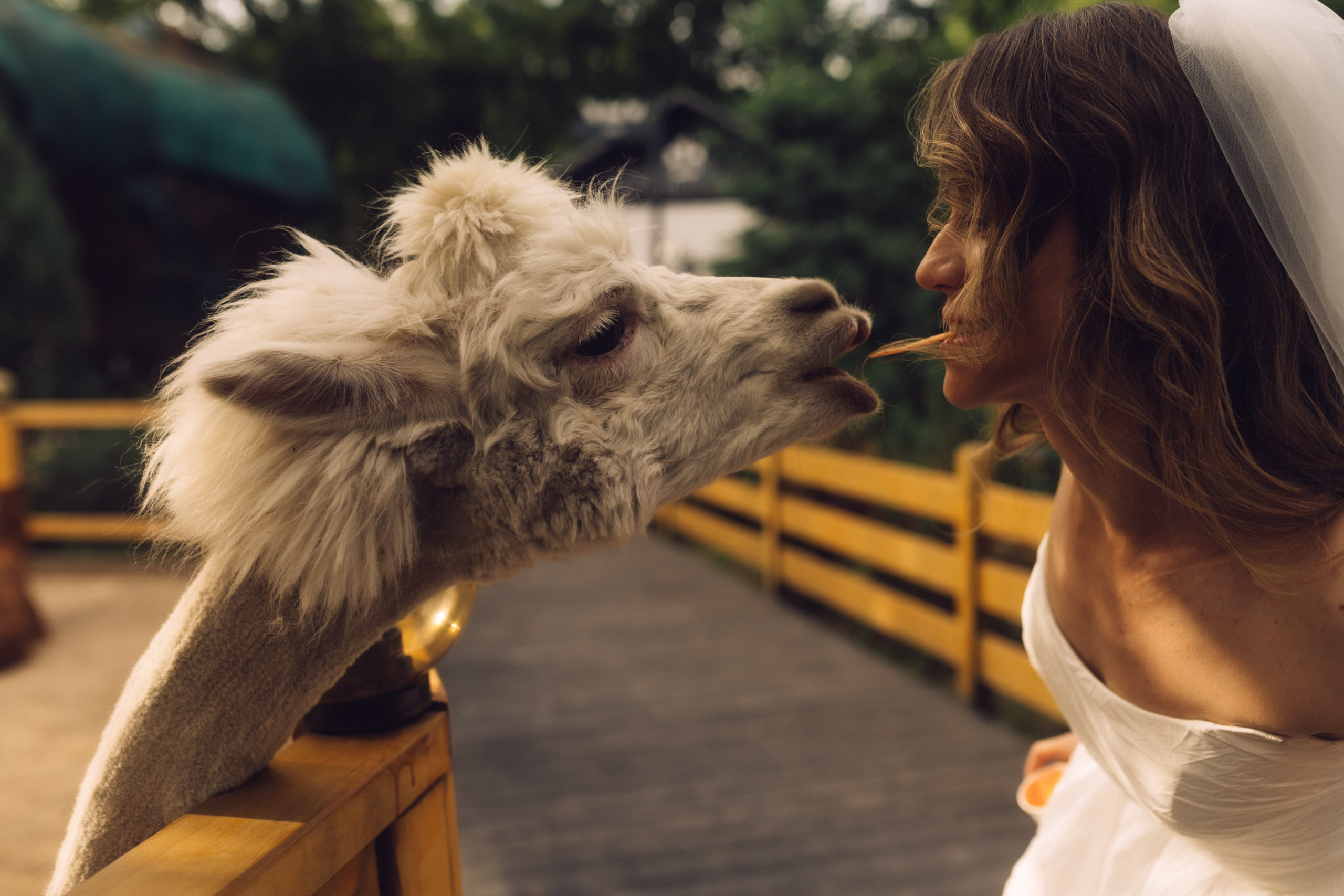 Фотограф Александр Быков
