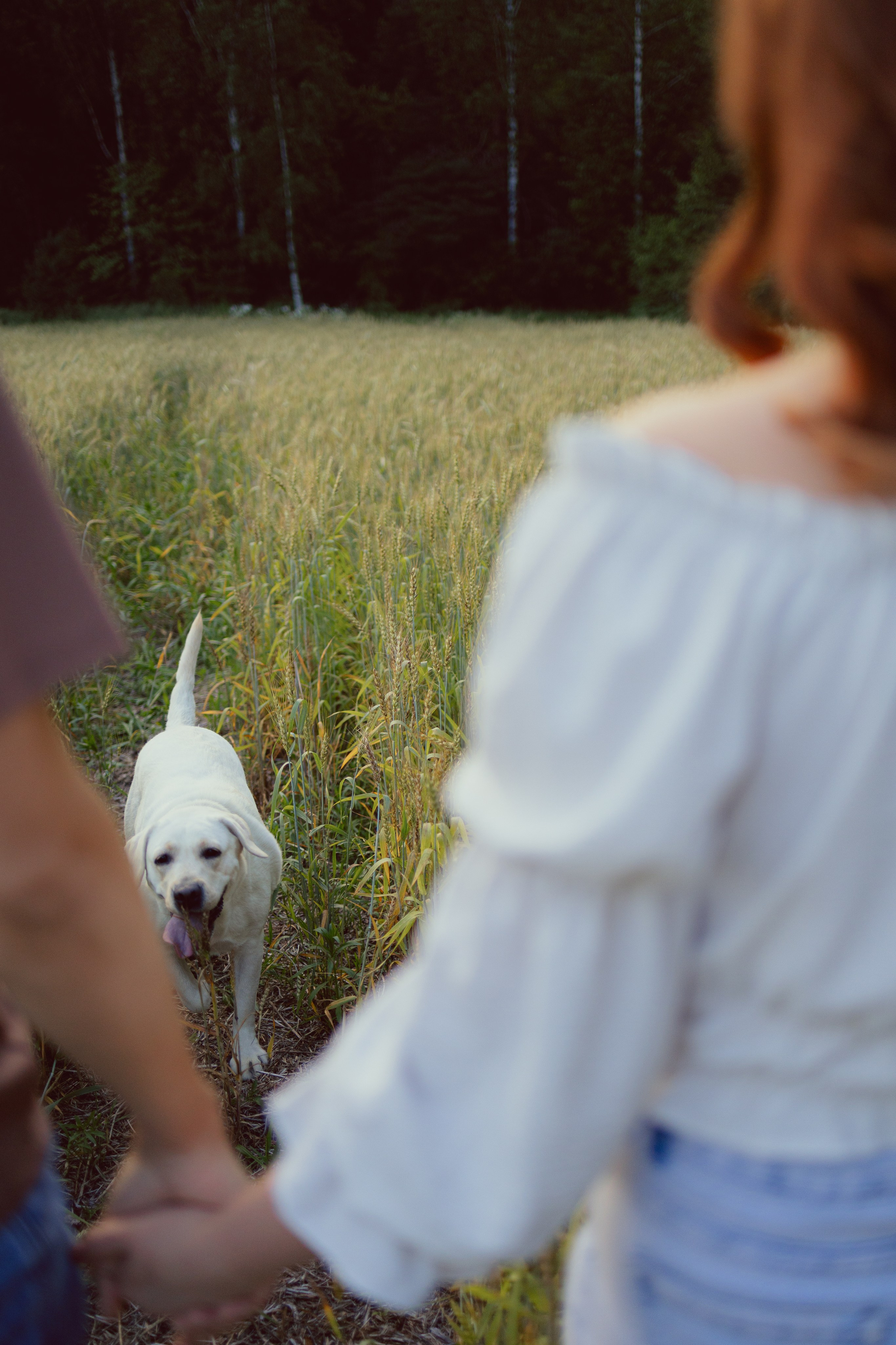 Люба и Иван. Семейный фотограф в Дзержинске Наталья Лаэтина