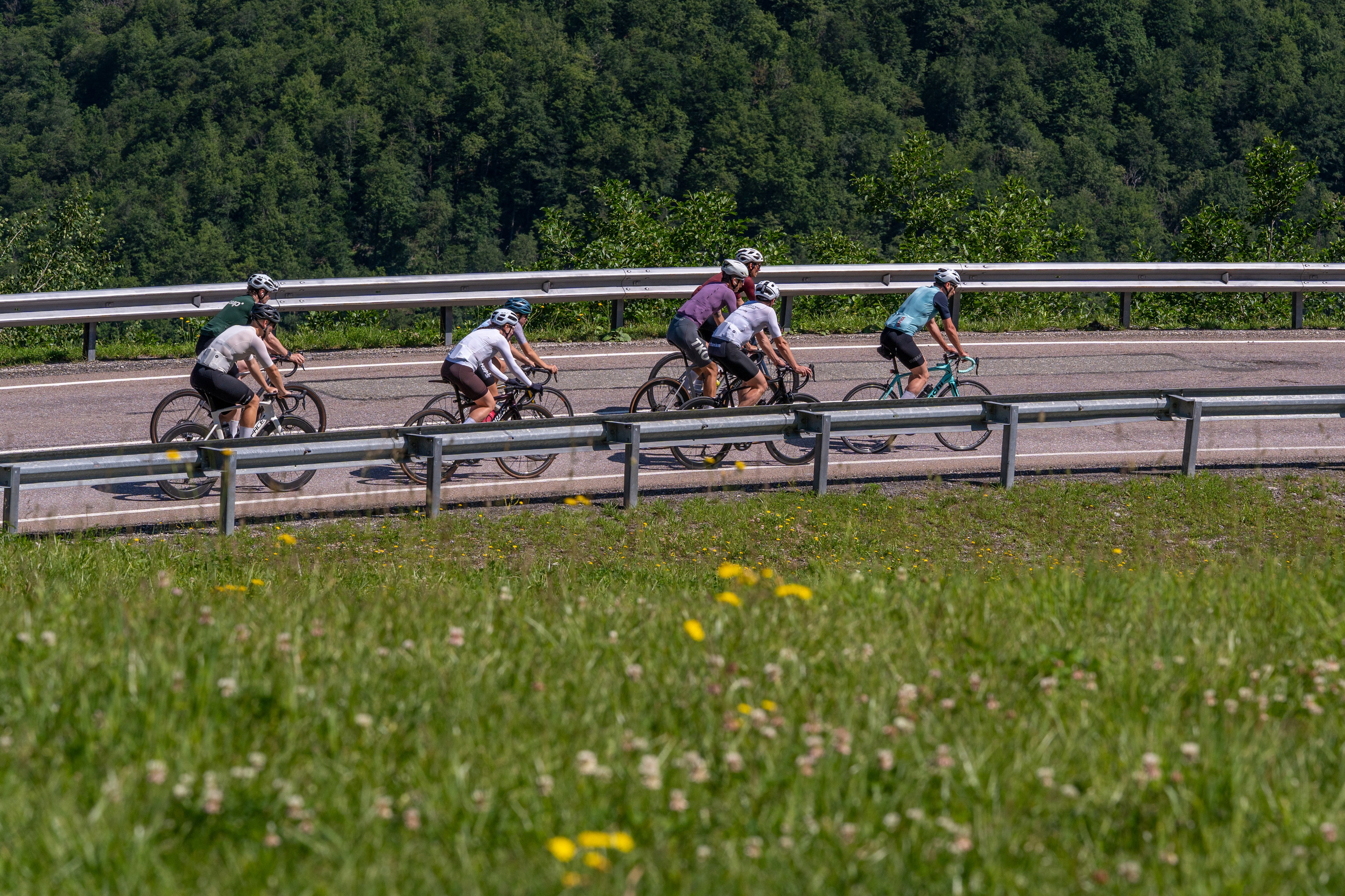Laura Training Run. Репортажный фотограф в Красной Поляне и Сочи Павлюченко Екатерина
