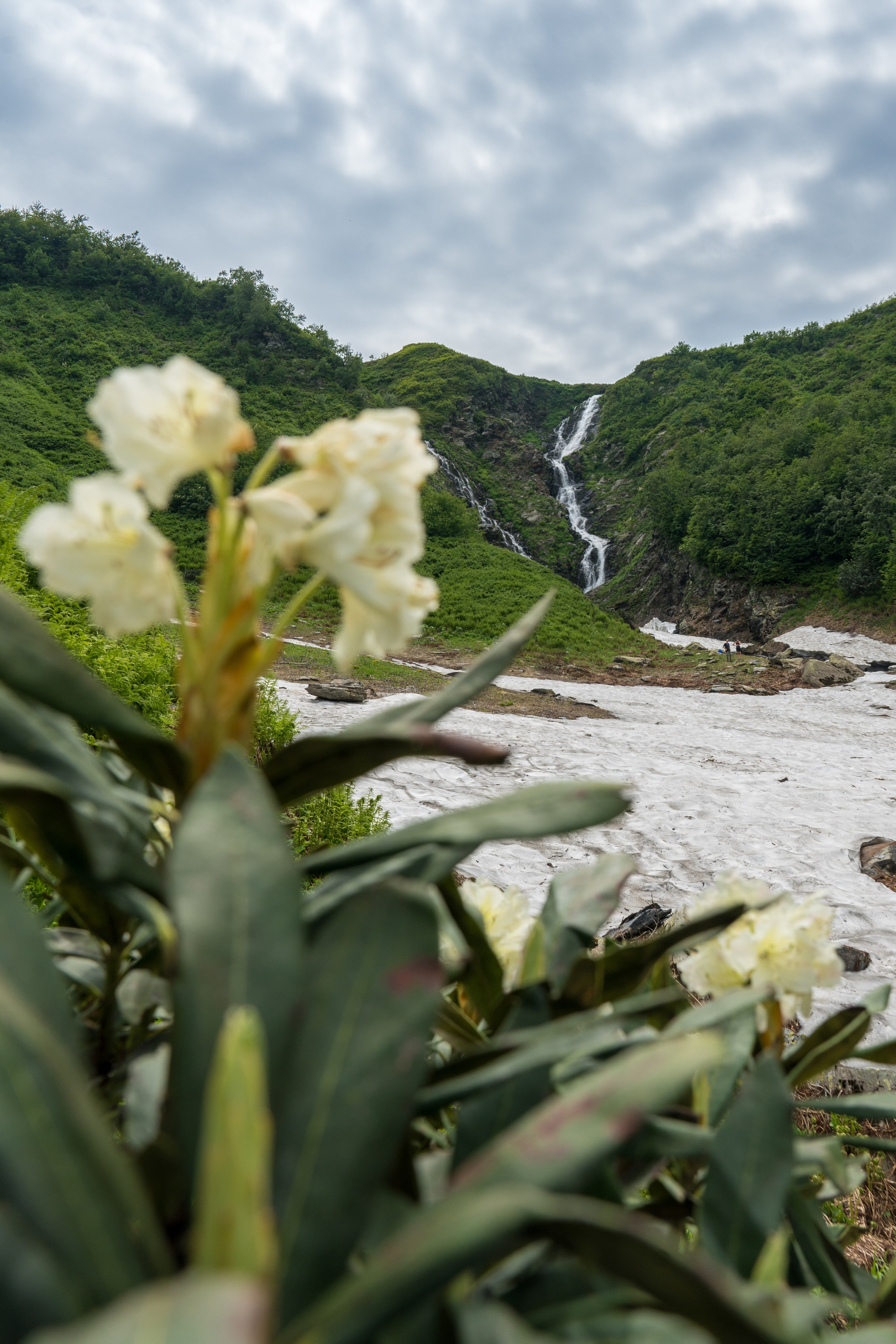 MICE мероприятие для компании «Доставка морем»: хайкинг к Ачипсинским водопадам. Репортажный фотограф в Красной Поляне и Сочи Павлюченко Екатерина