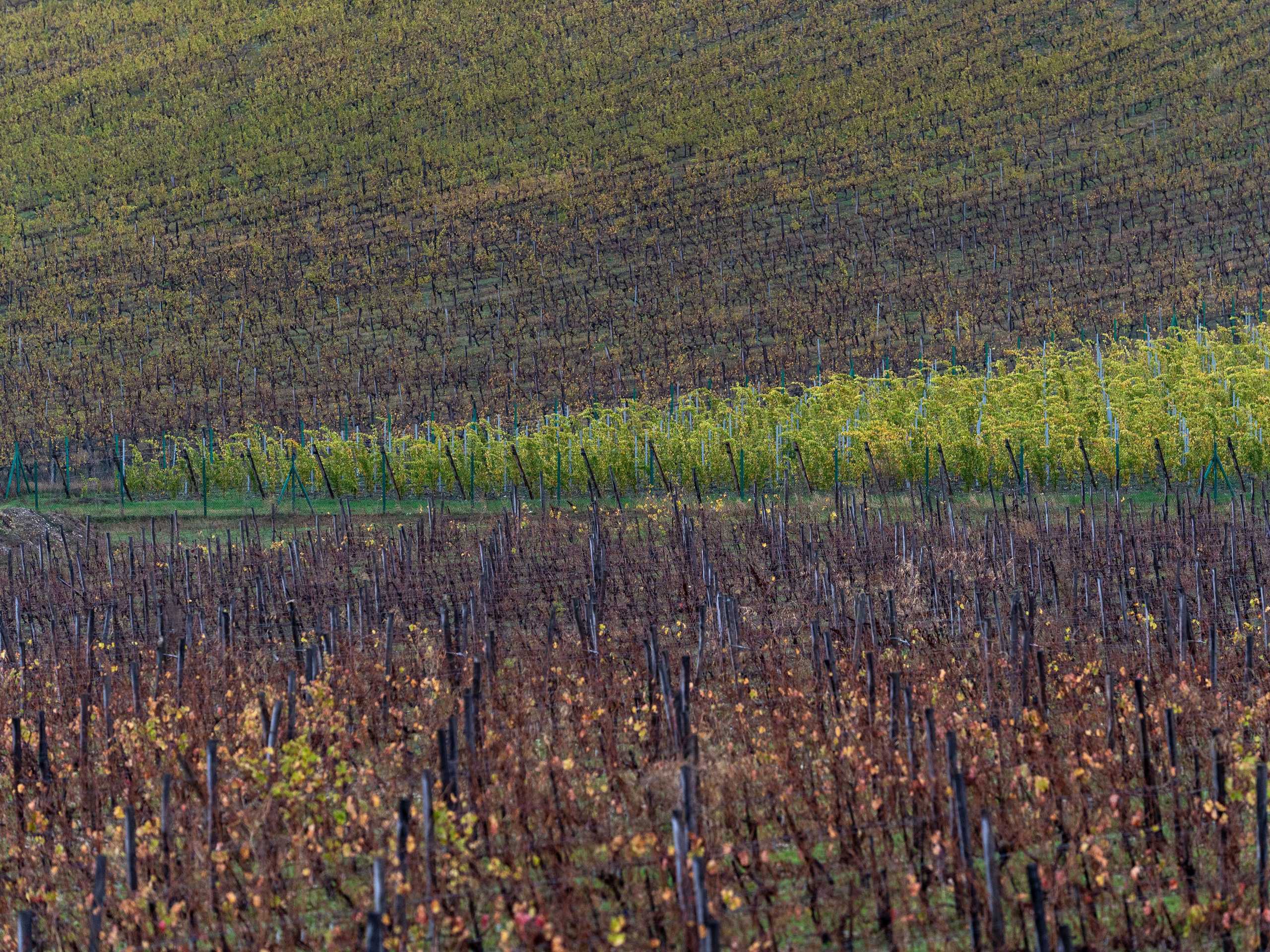 Путешествия и пейзаж. Репортажный фотограф в Красной Поляне и Сочи Павлюченко Екатерина