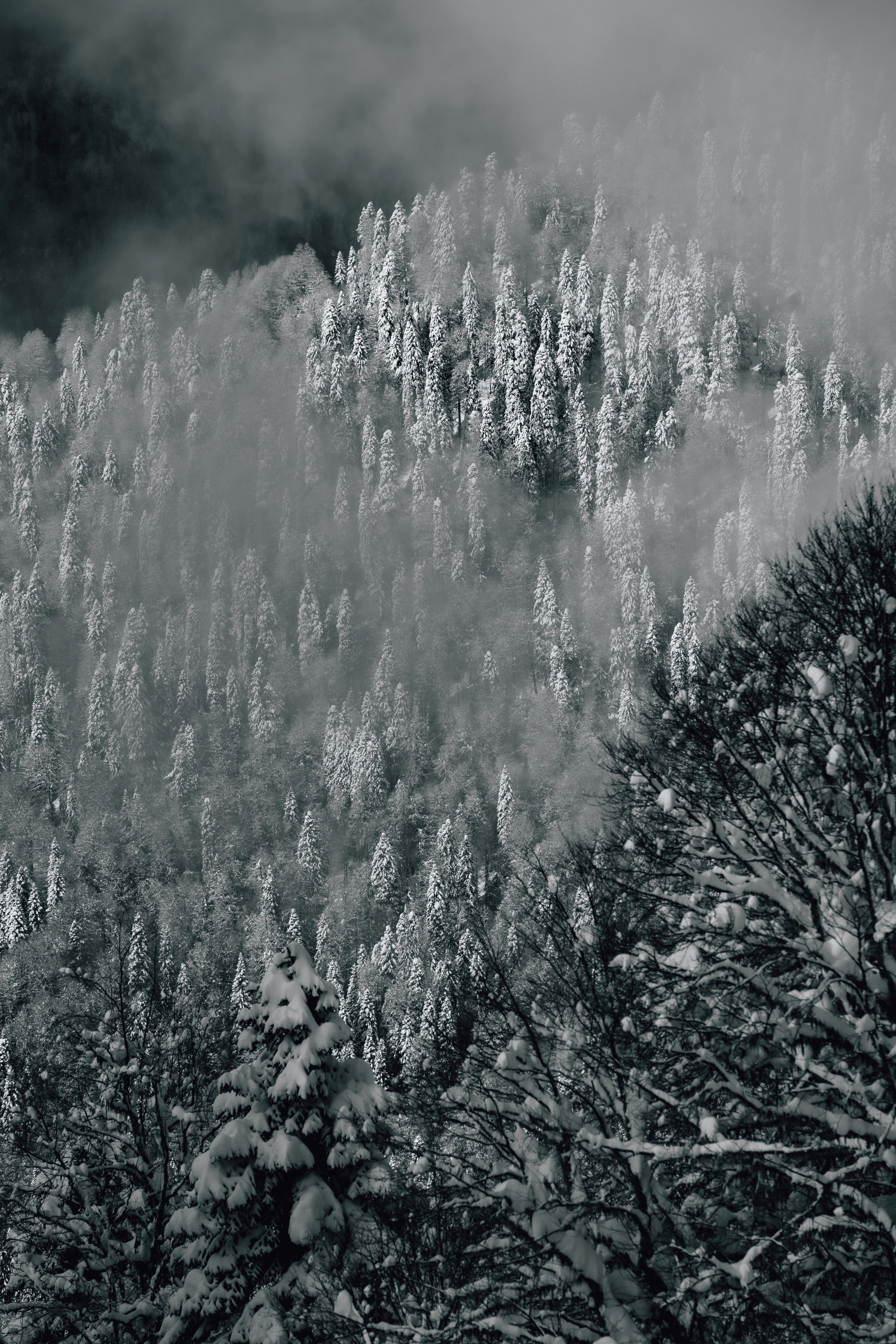 Путешествия и пейзаж. Репортажный фотограф в Красной Поляне и Сочи Павлюченко Екатерина