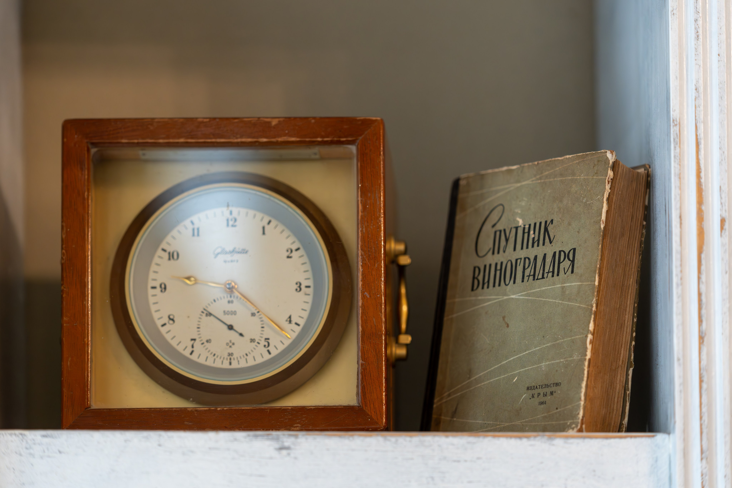 Литературная мастерская с Ольгой Шутовой в «Винотеррии». Репортажный фотограф в Красной Поляне и Сочи Павлюченко Екатерина