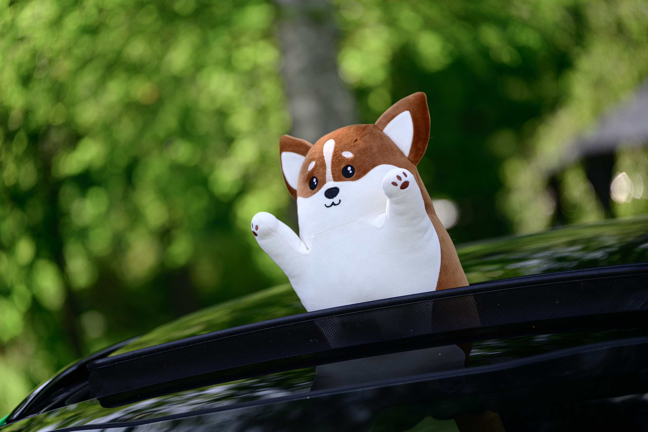 Tuning Open Fest 2025. Авто и мотоспорт — фотограф Антон Медведев iCoguar