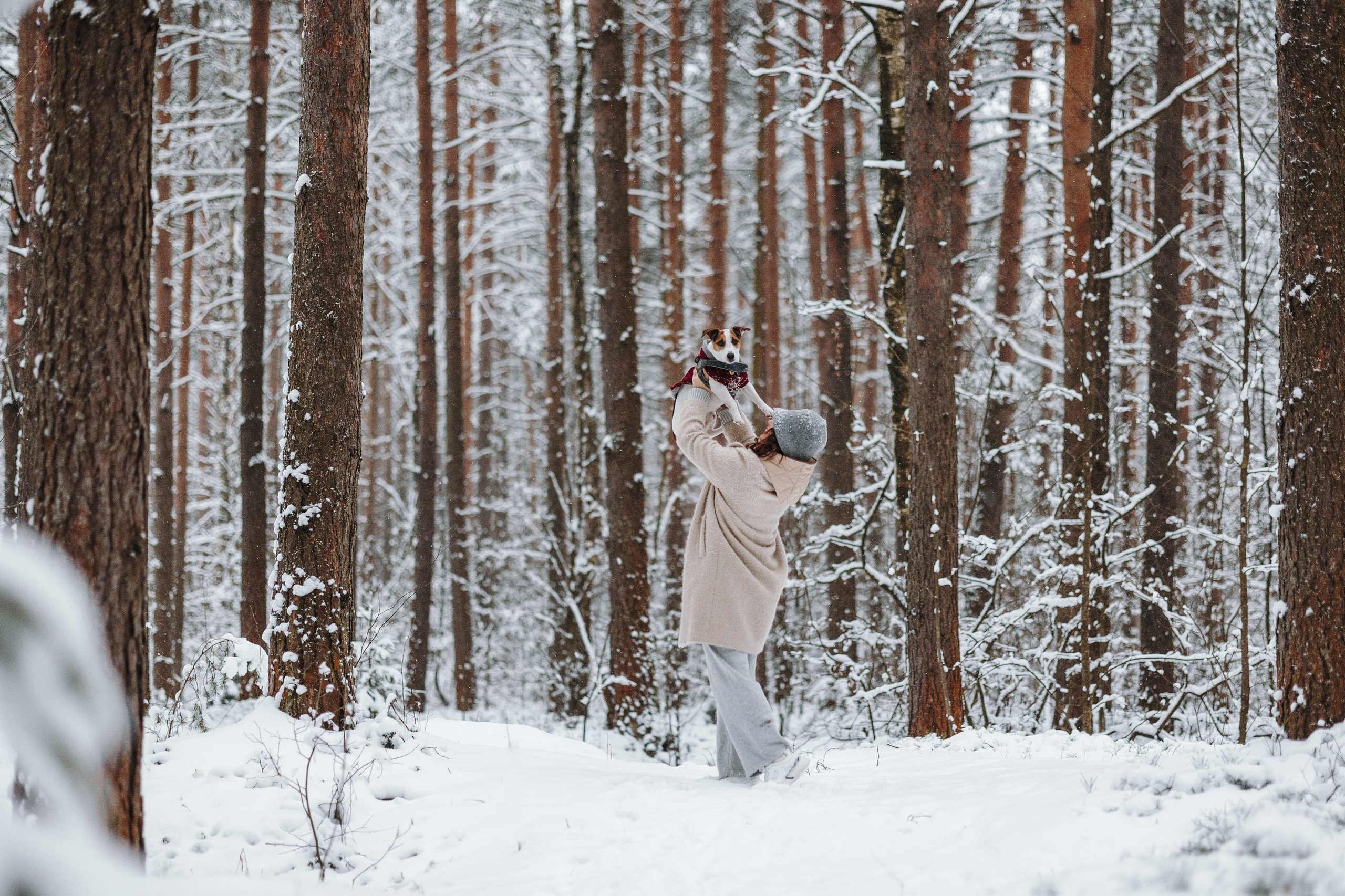Наталья и Микки. Фотограф — Анималист | Санкт-Петербург