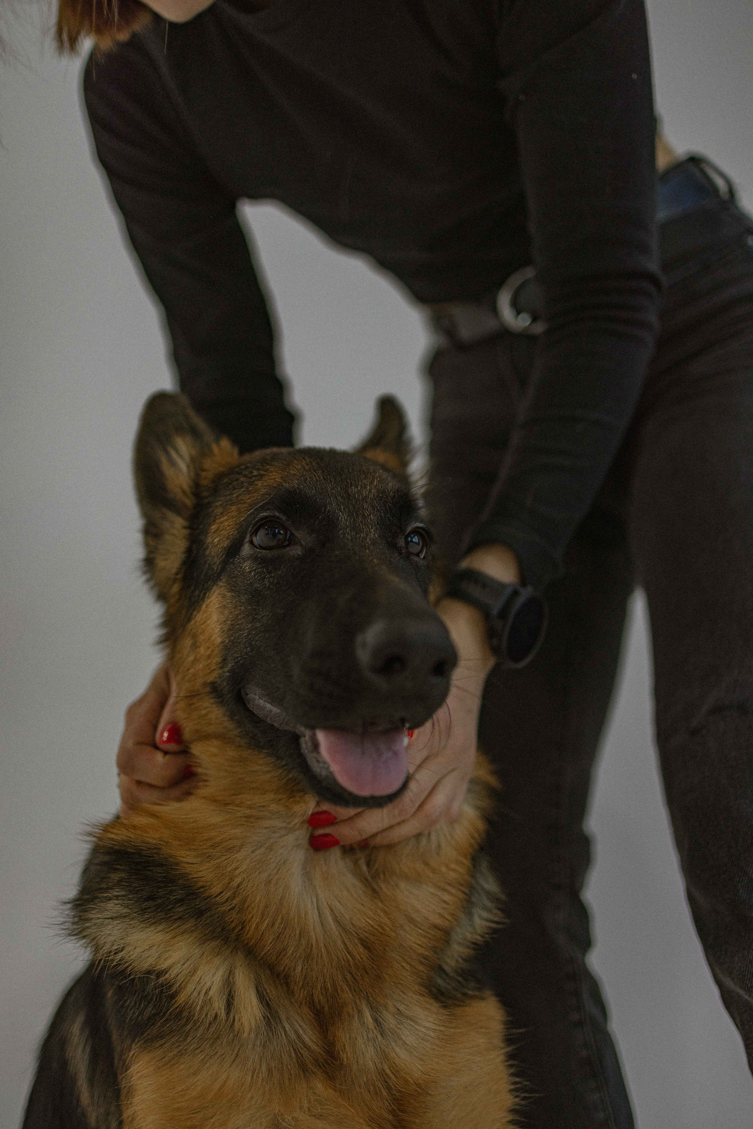 Ася и Буся. Фотограф-анималист в Москве Лера Черноног