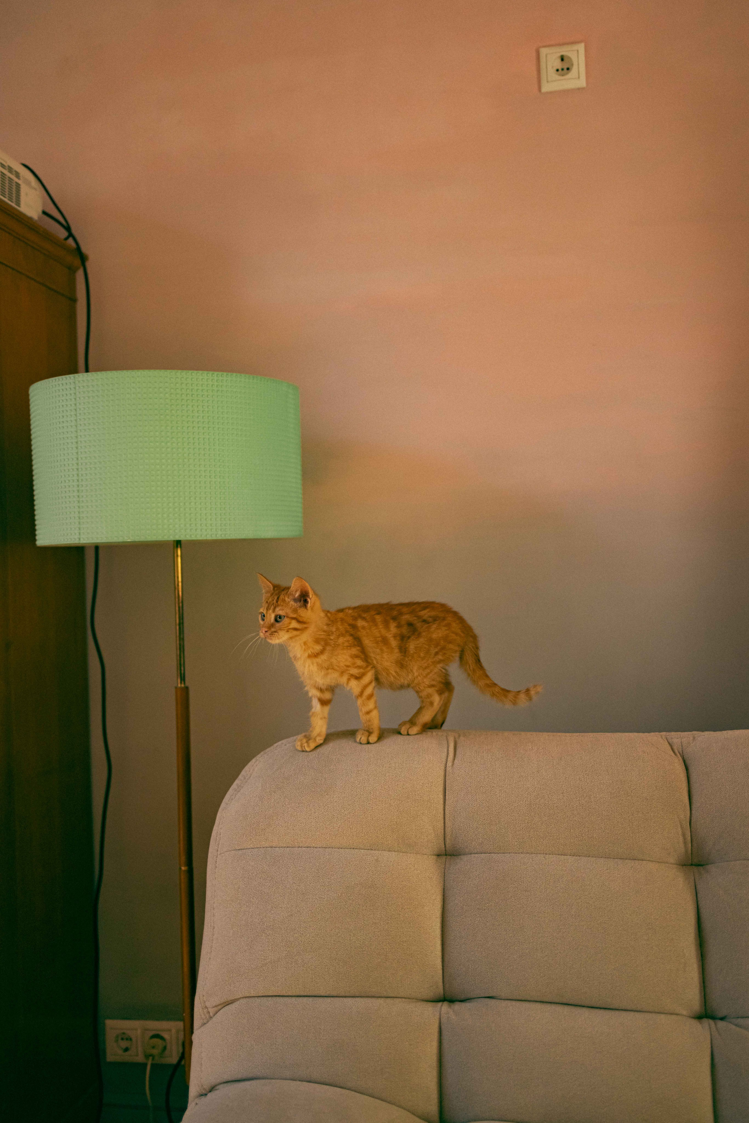 Кускус. Фотограф-анималист в Москве Лера Черноног