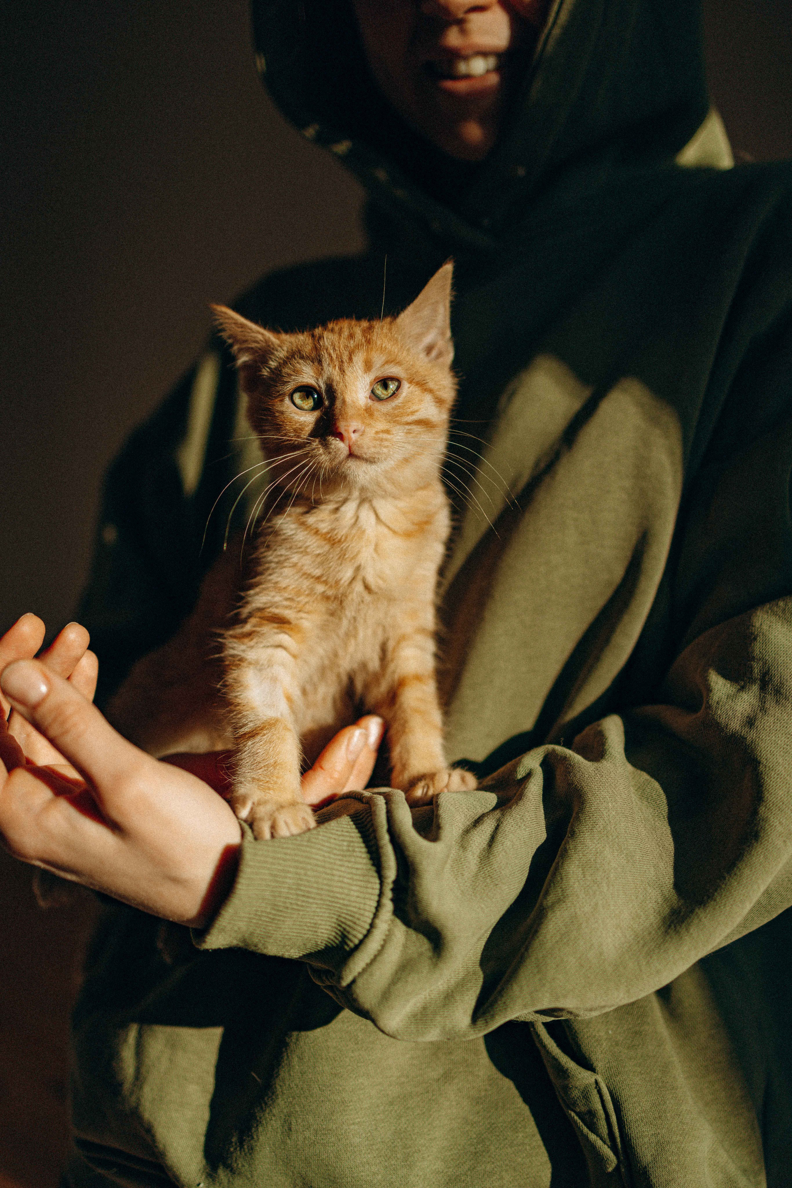 Кускус. Фотограф-анималист в Москве Лера Черноног