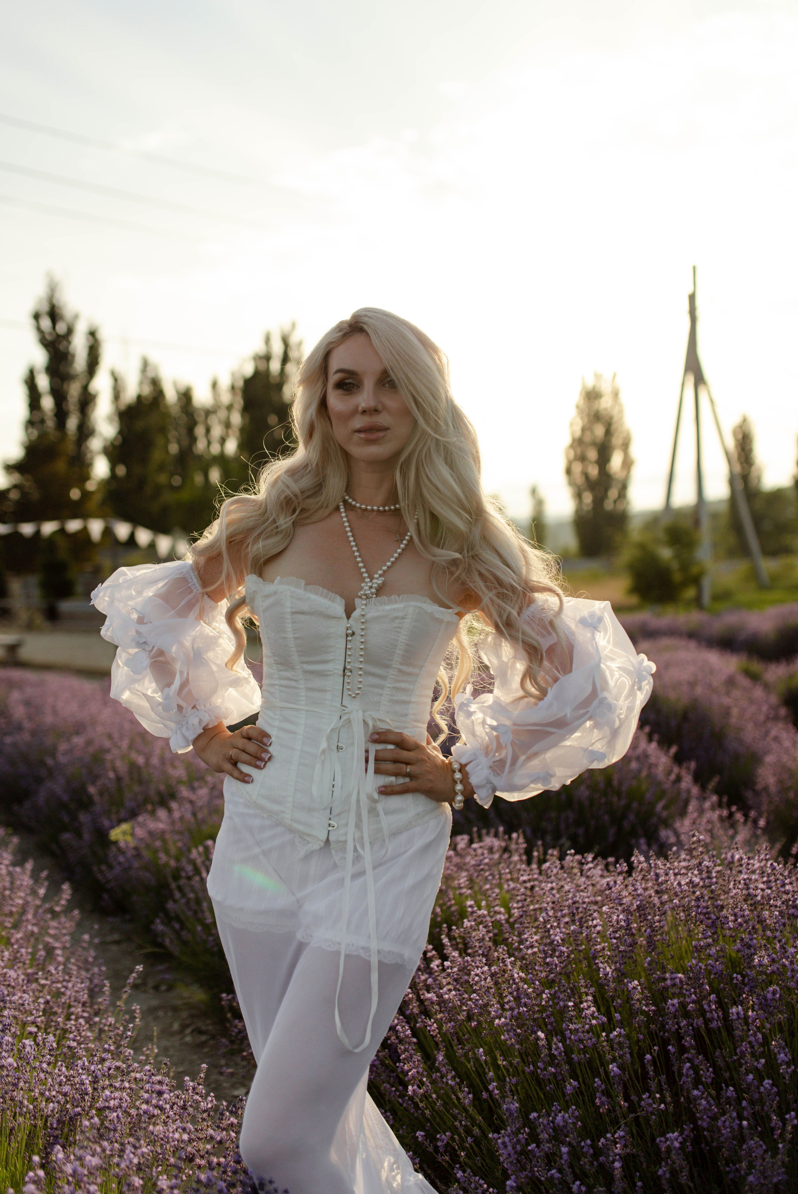 Лаванда. Фотограф Трифон Мира