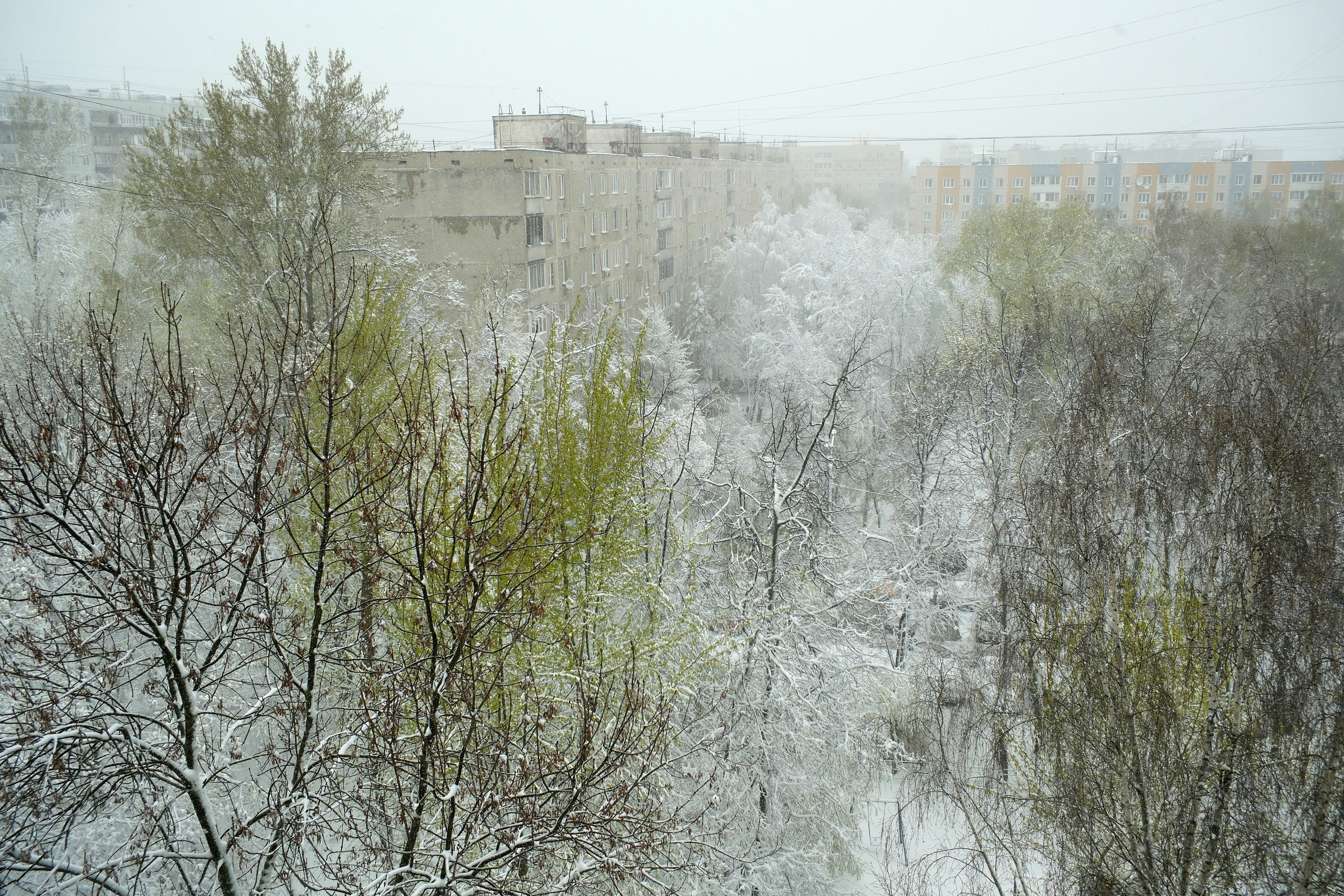 Улица, люди, жизнь…