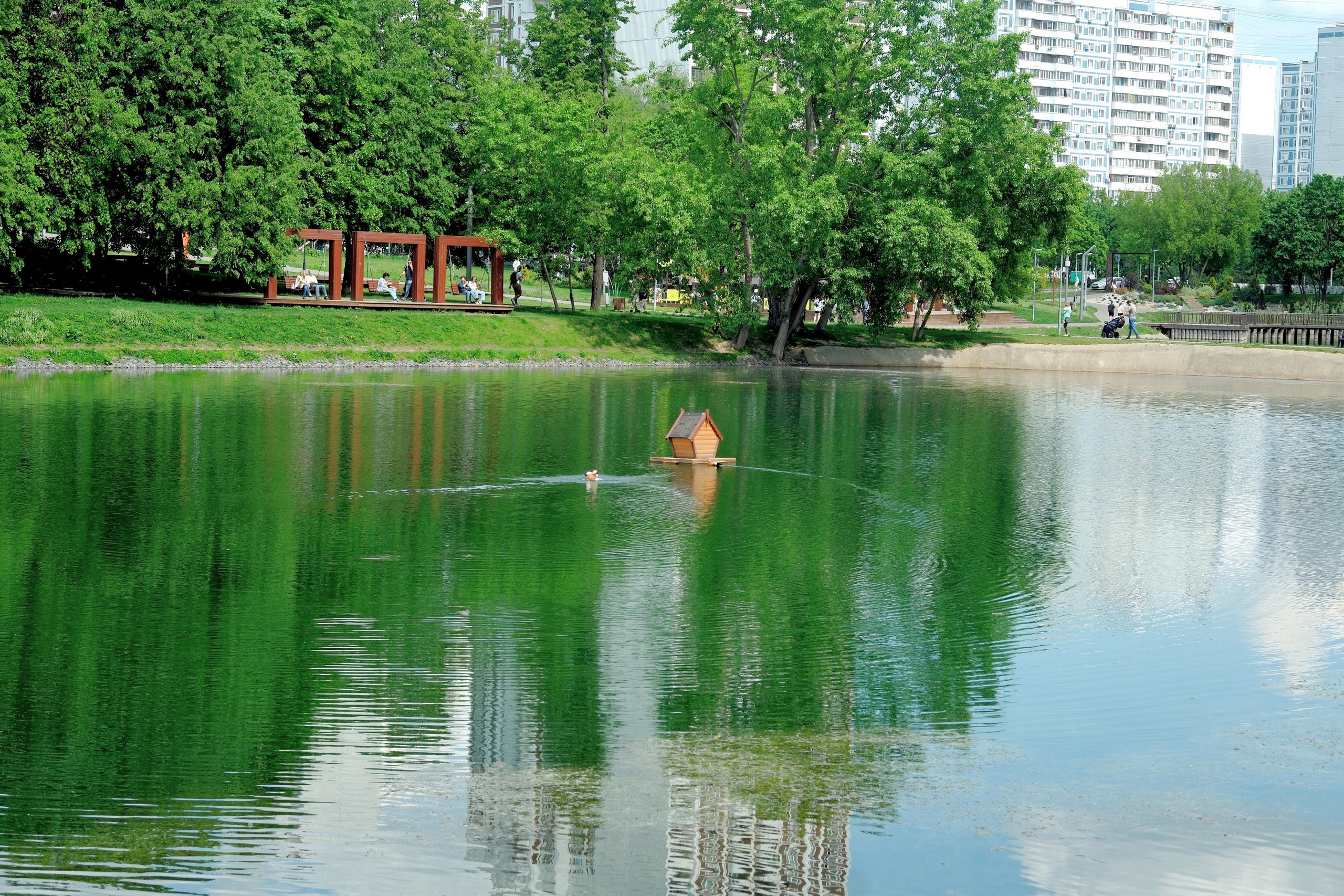 Кировоградские каскадные пруды 2024. Улица, люди, жизнь…