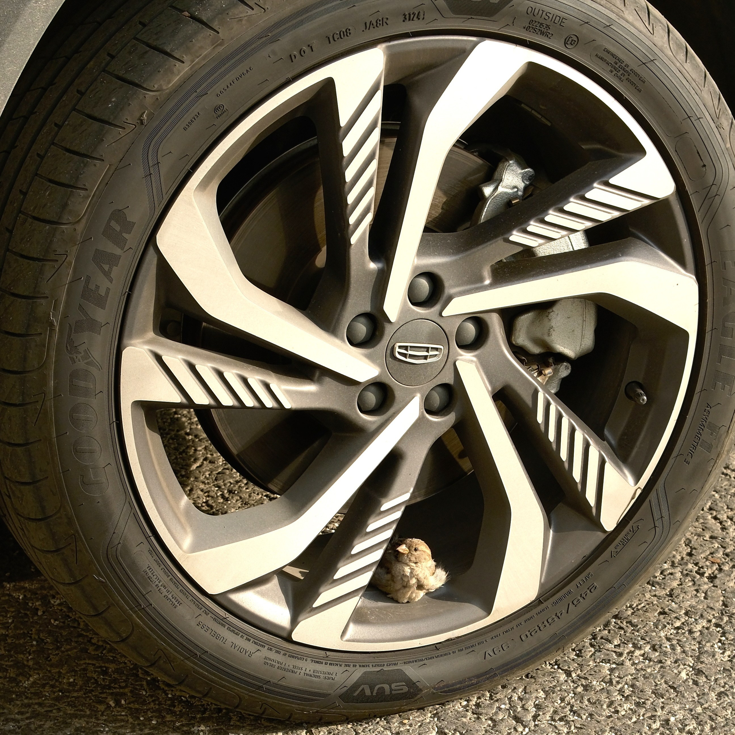 Улица, люди, жизнь…