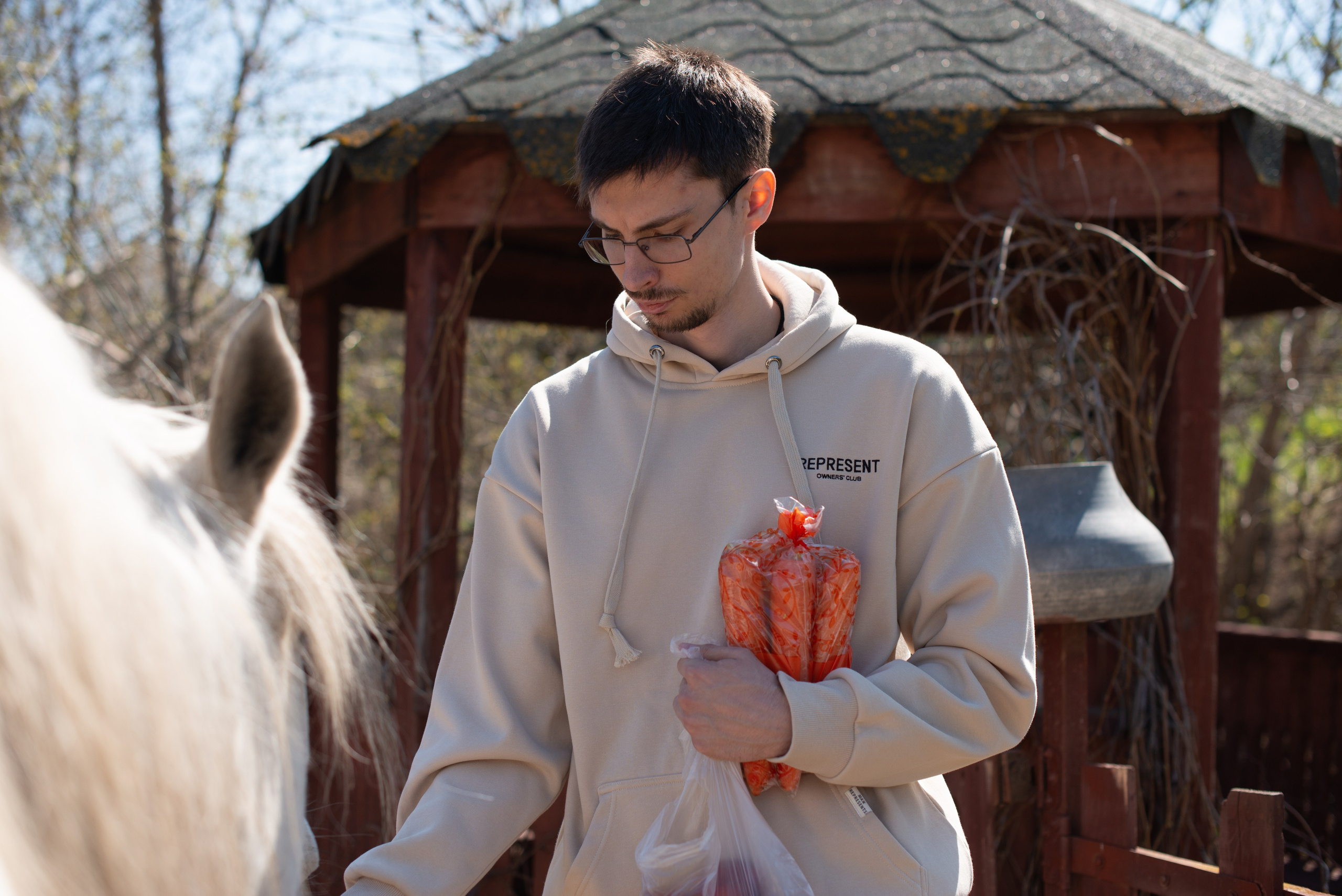 Прогулка. Конный фотограф в Саратове Юлия Иванова