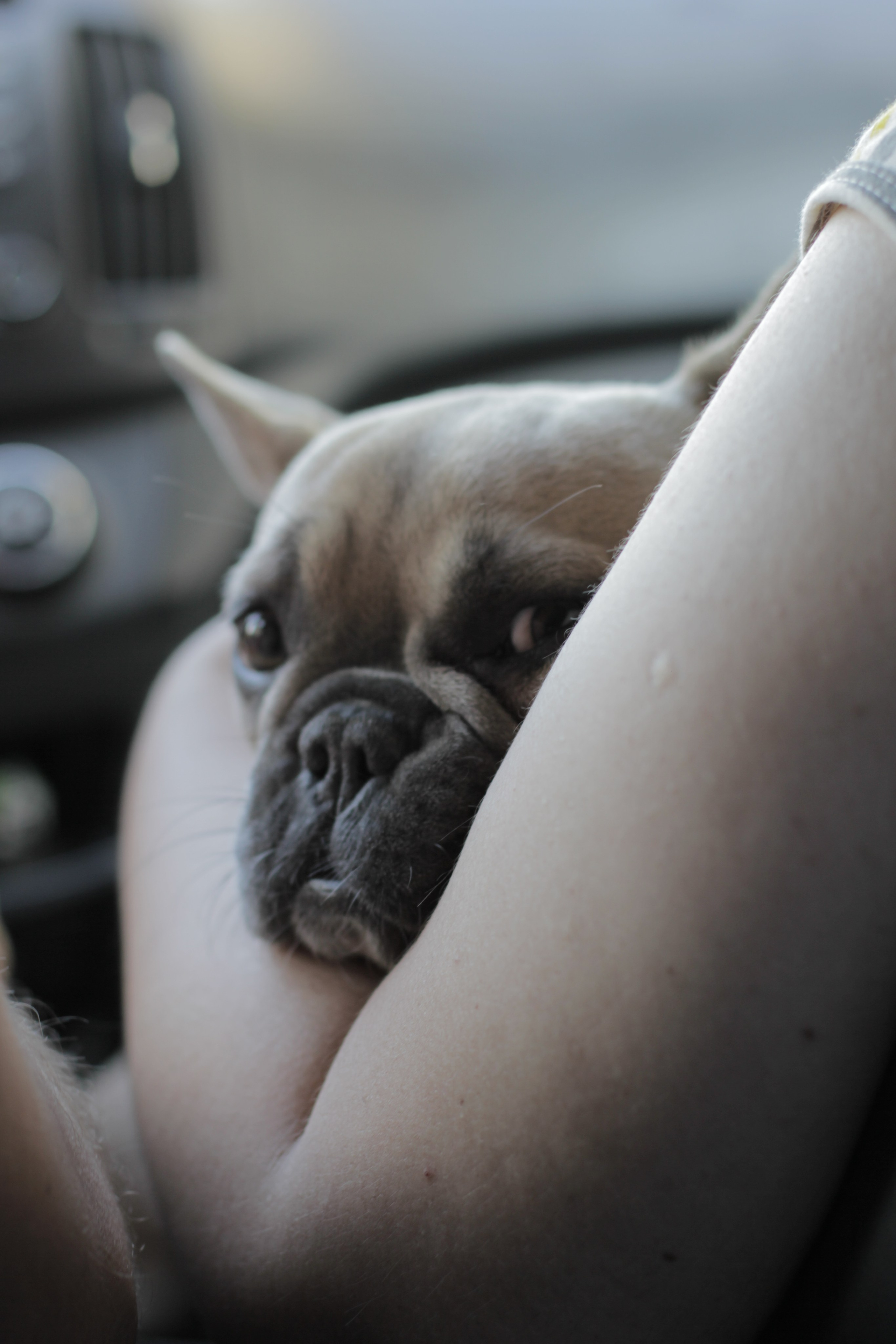 Рыбалка в Горячем Ключе (2024-09-24). Собор Отрасли