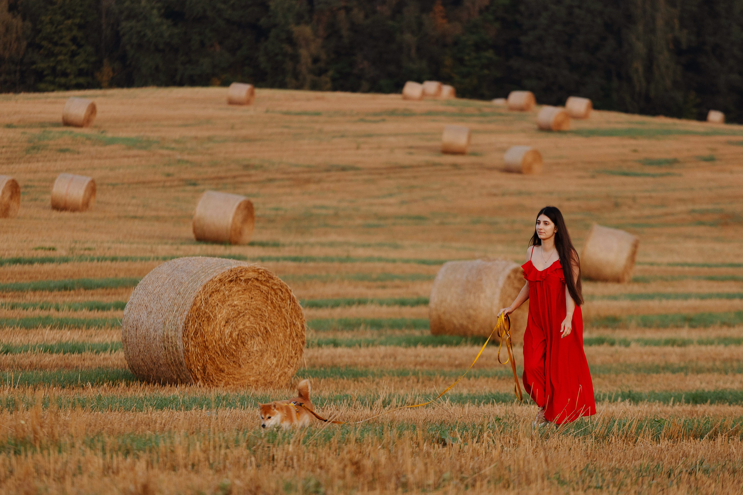 Беларусь / Диана и Ори. Фотограф Кузина Вера