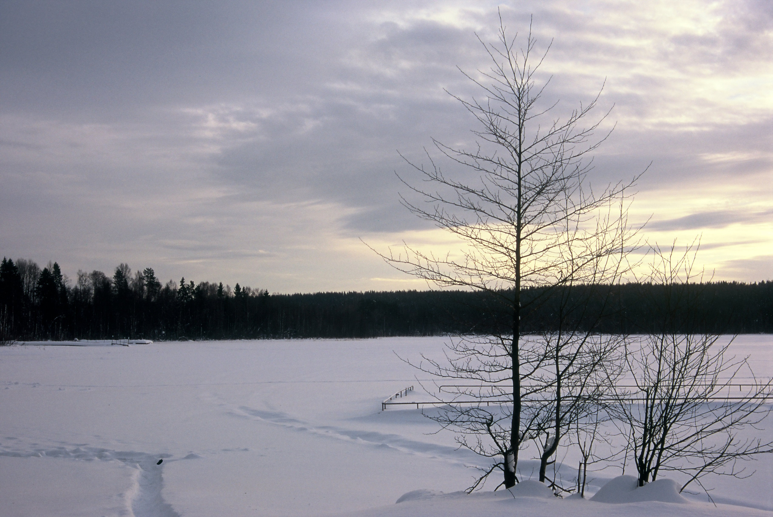 Film. Ruslan UI Dev Page