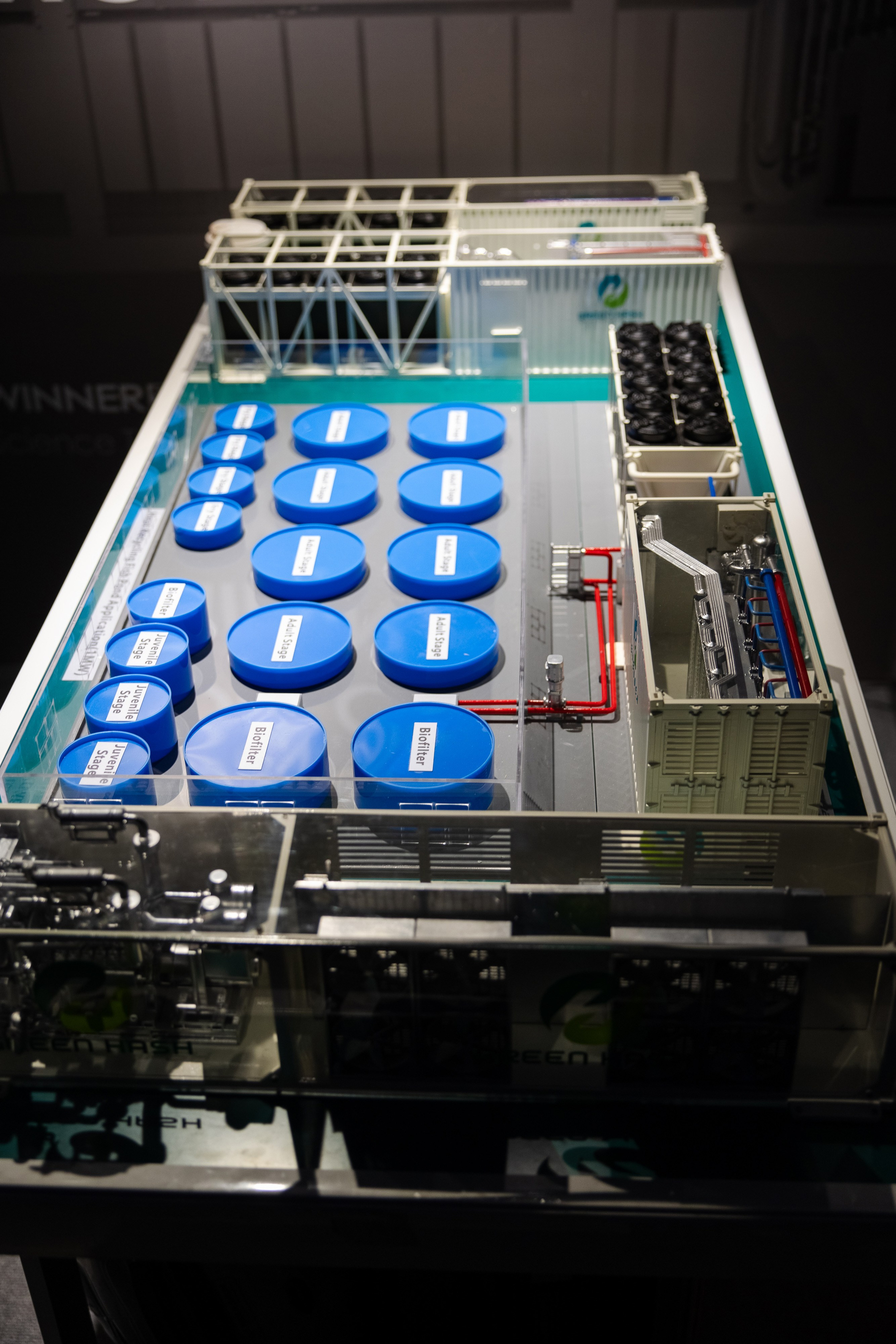 Crypto Summit (1). Свадебный репортажный фотограф в Москве