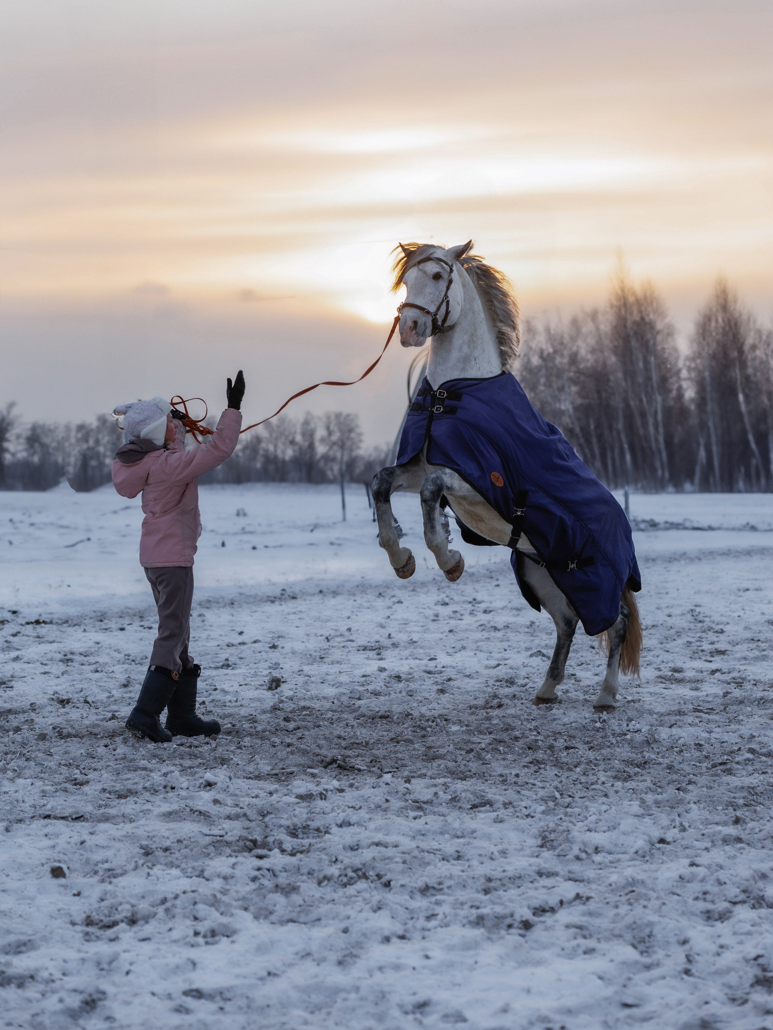 СЪЕМКА ЛОШАДЕЙ. Конный фотограф в Красноярске — Любовь Похабова