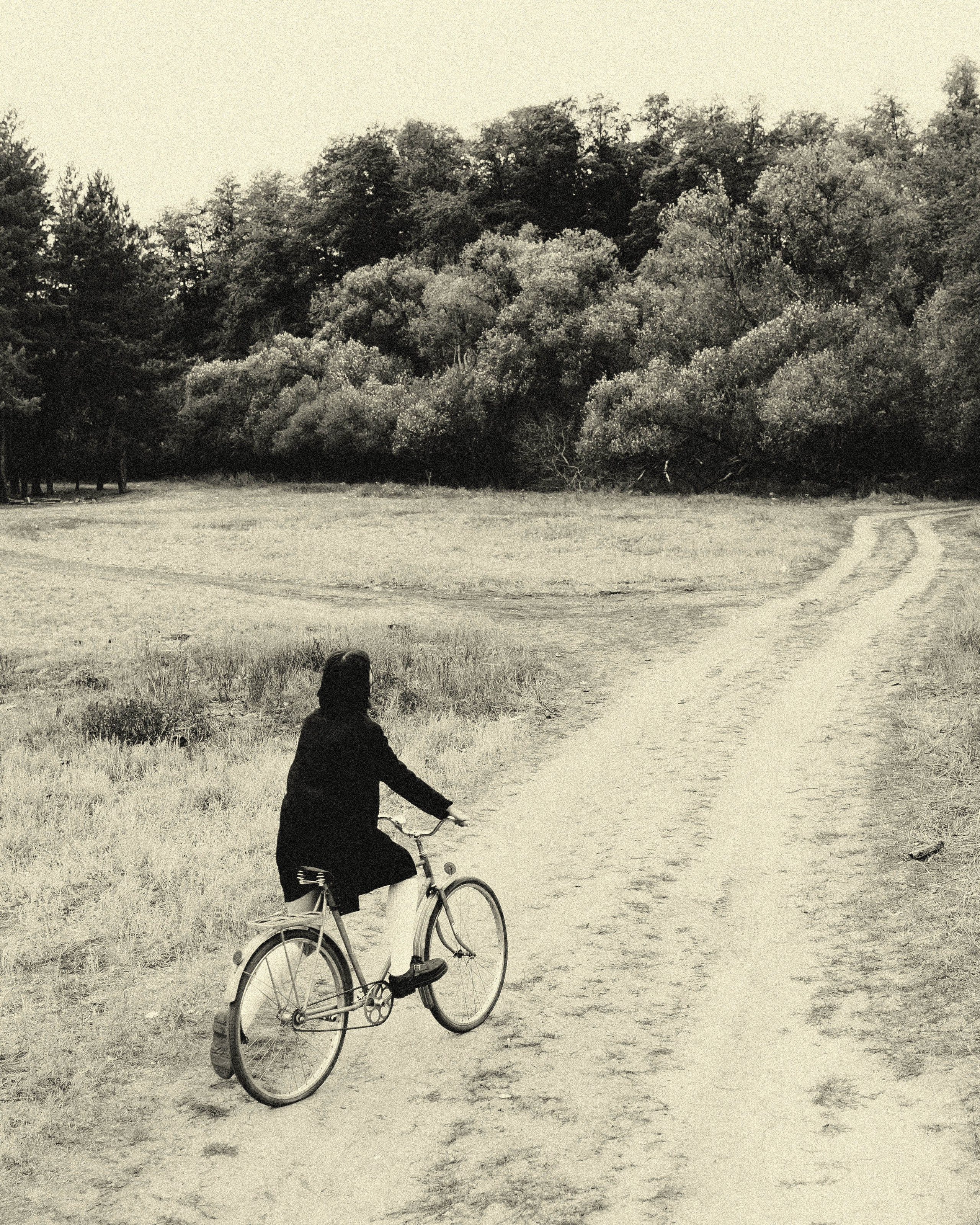 Amelie. MARK DOROHOV