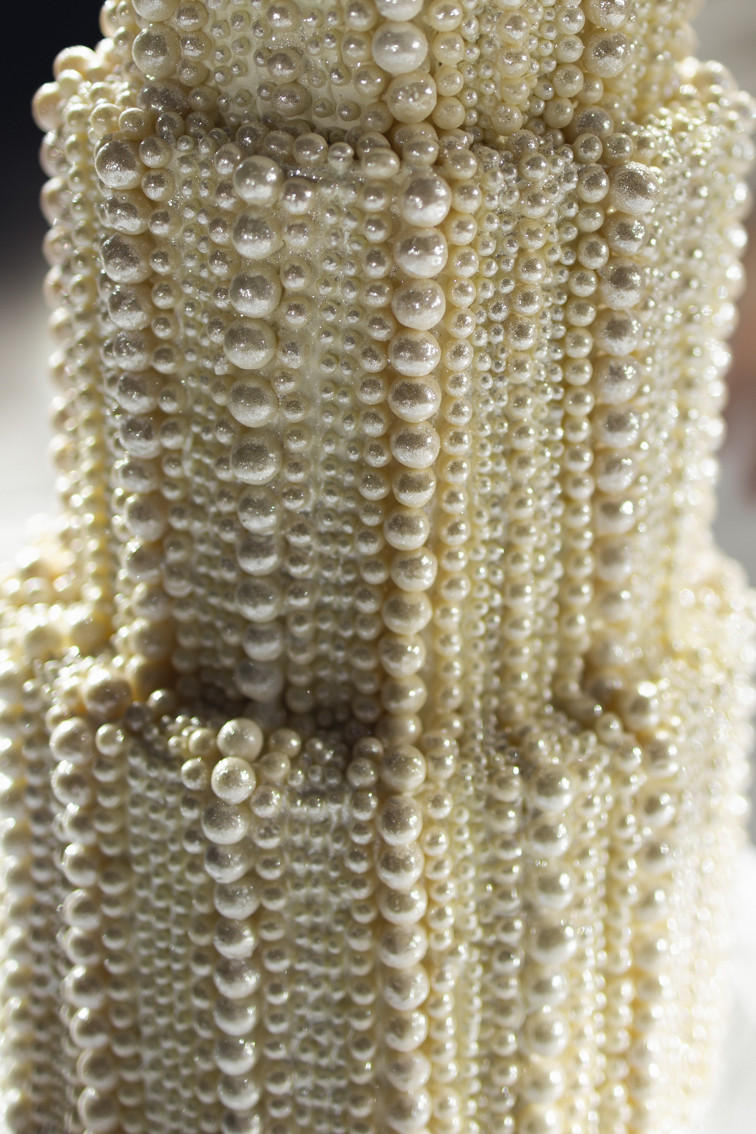 Danya | Masha. Свадебный и репортажный фотограф Анастасия Алашеева