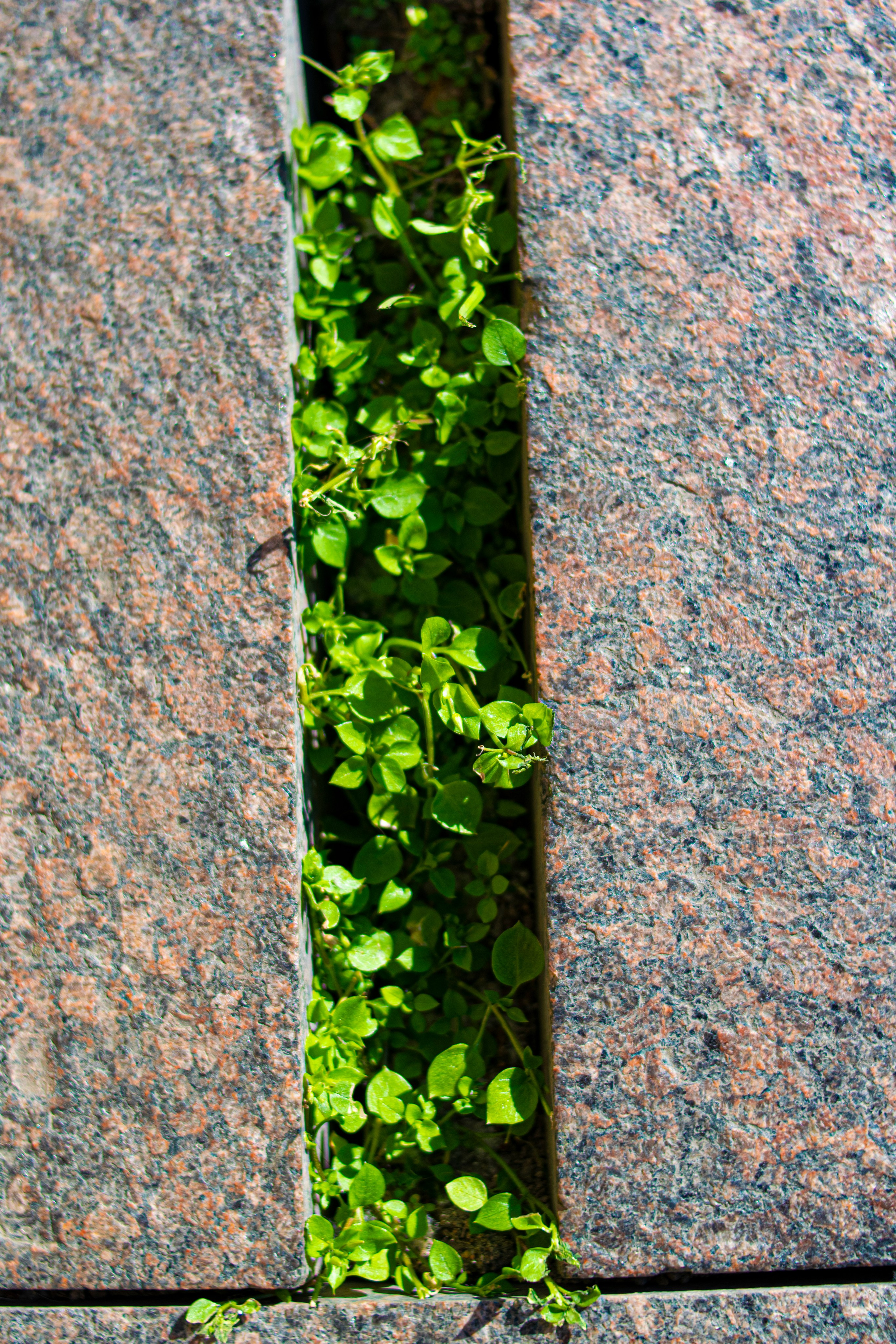 Городская фотография. Сергей Ильин | Фотограф