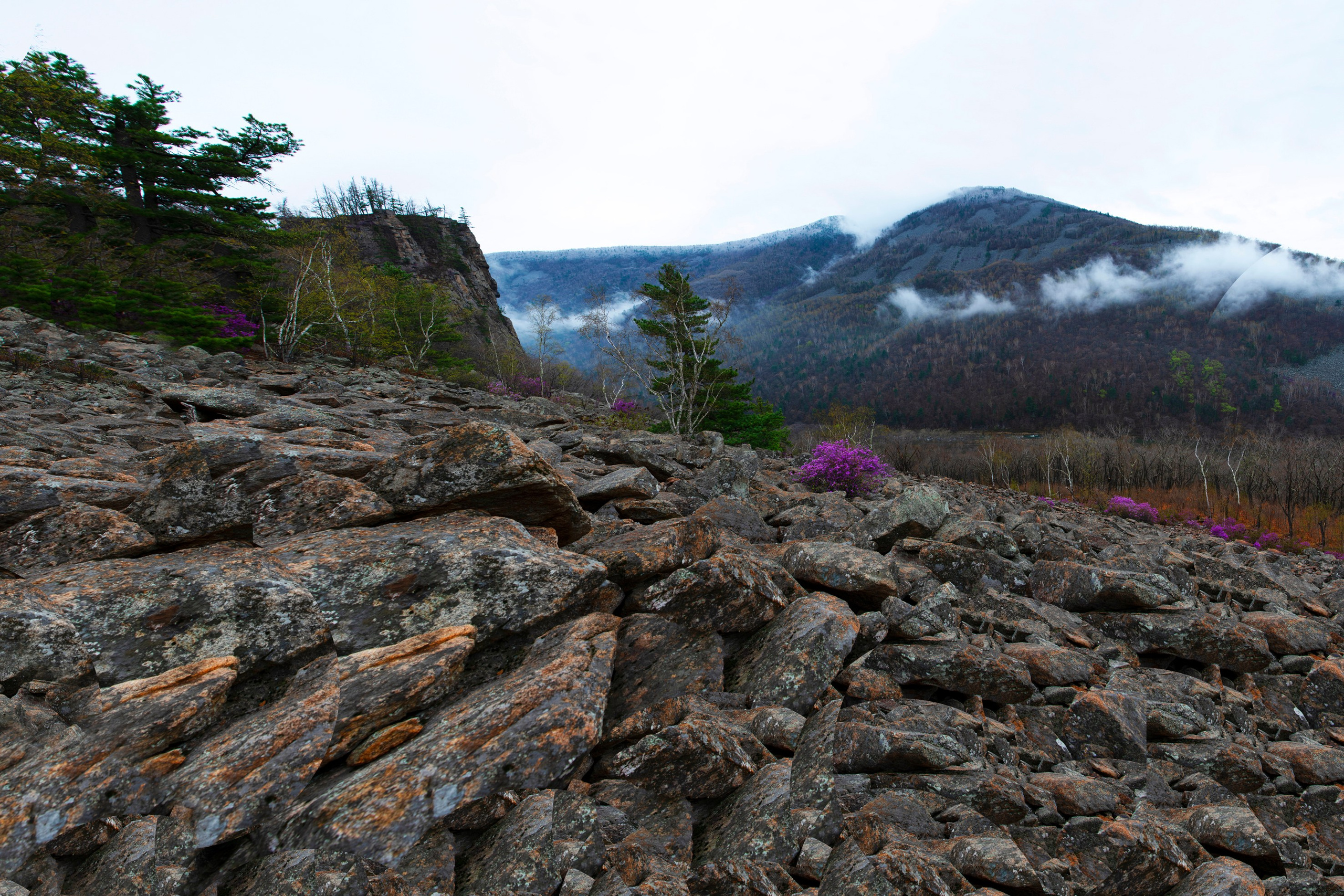 Природа Хабаровского края. Команда фотографов Кристины Ивановой