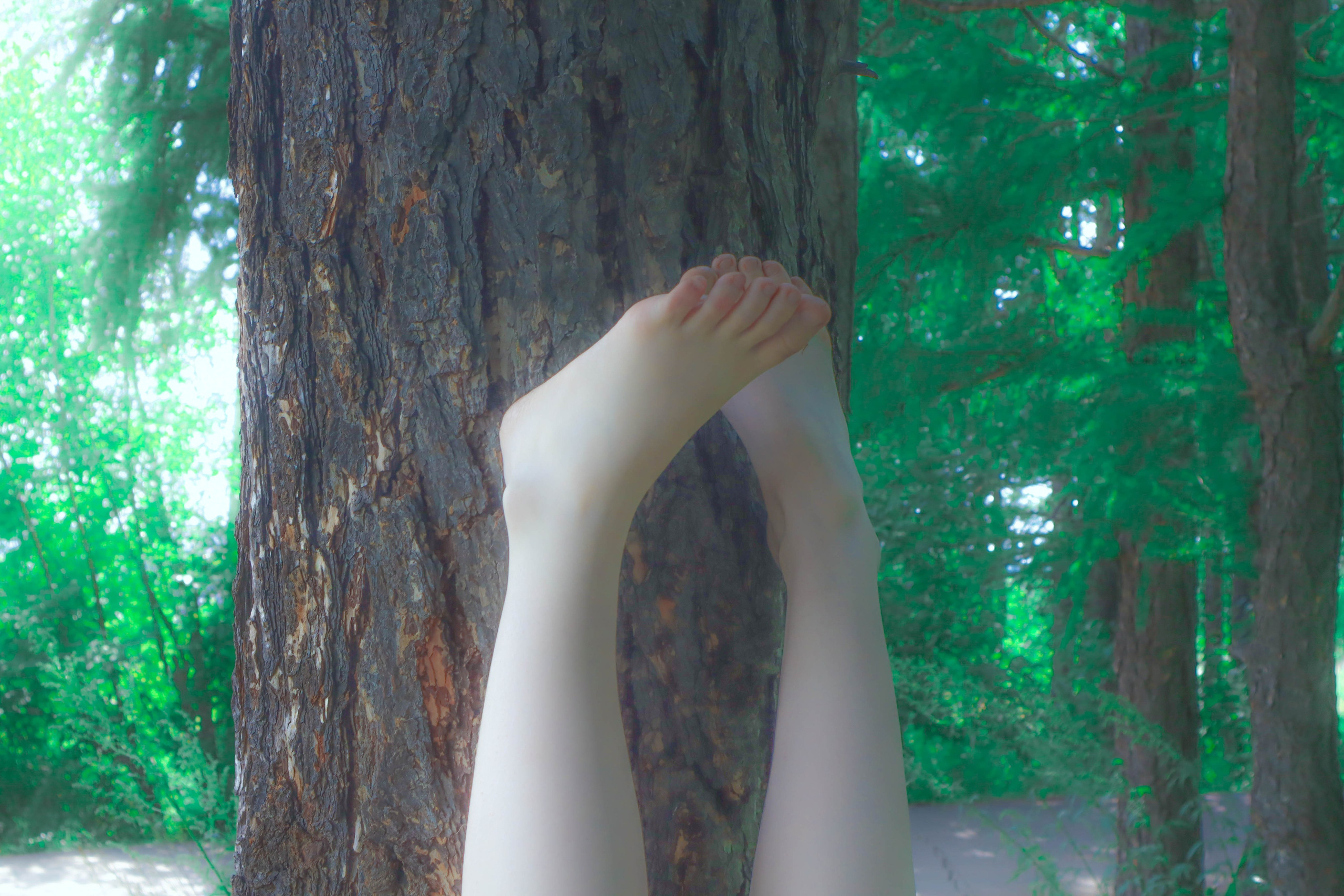 Алиса в стране чудес. Фотограф и видеограф в Бугульме Аня Трутнева