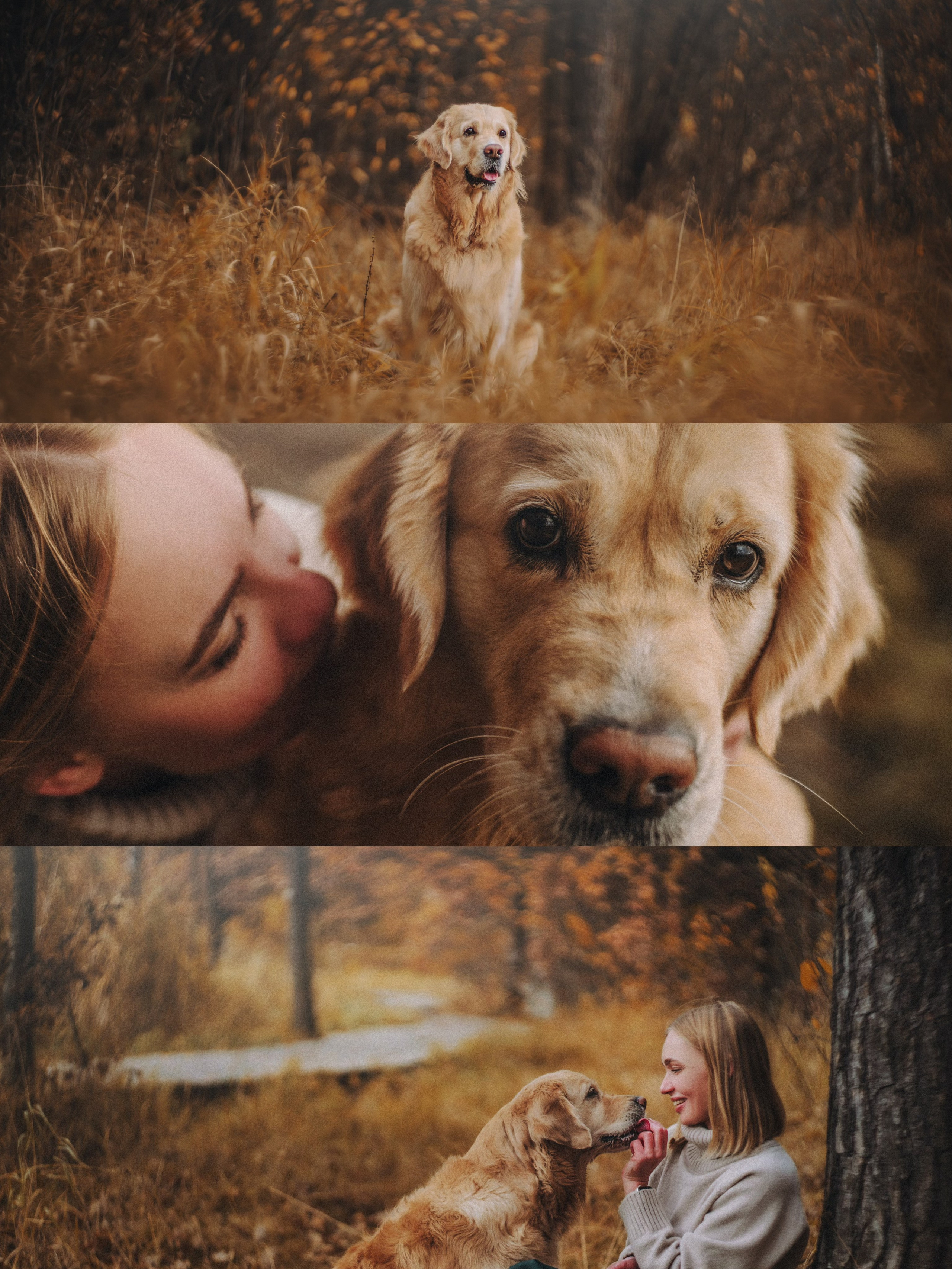 Анастасия и Айза. Фотограф анималист в Москве и Санкт-Петербурге Свиридова Анна