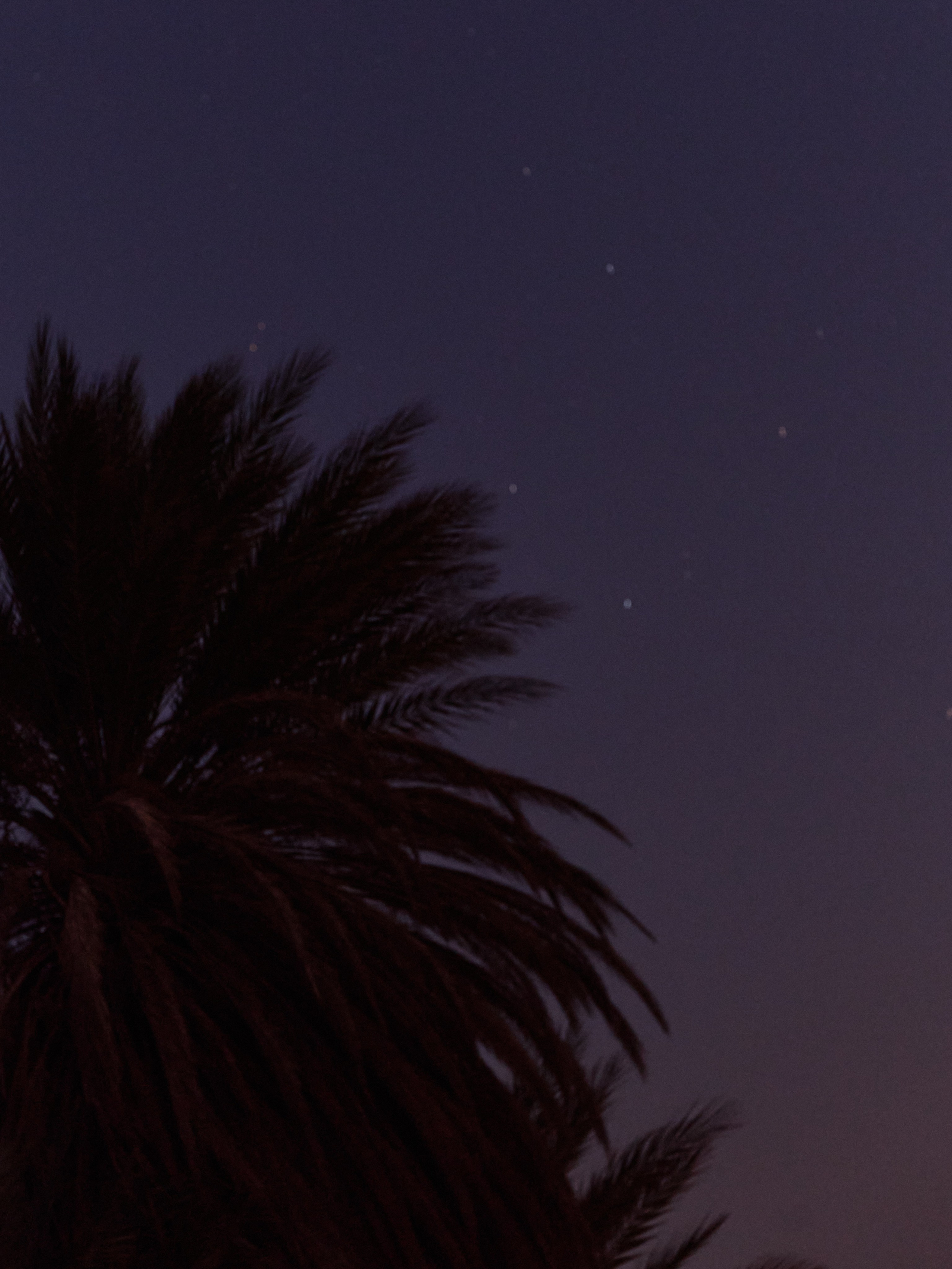 Другое 3. Jorgis — фотограф в Хургаде / обучение фотографии