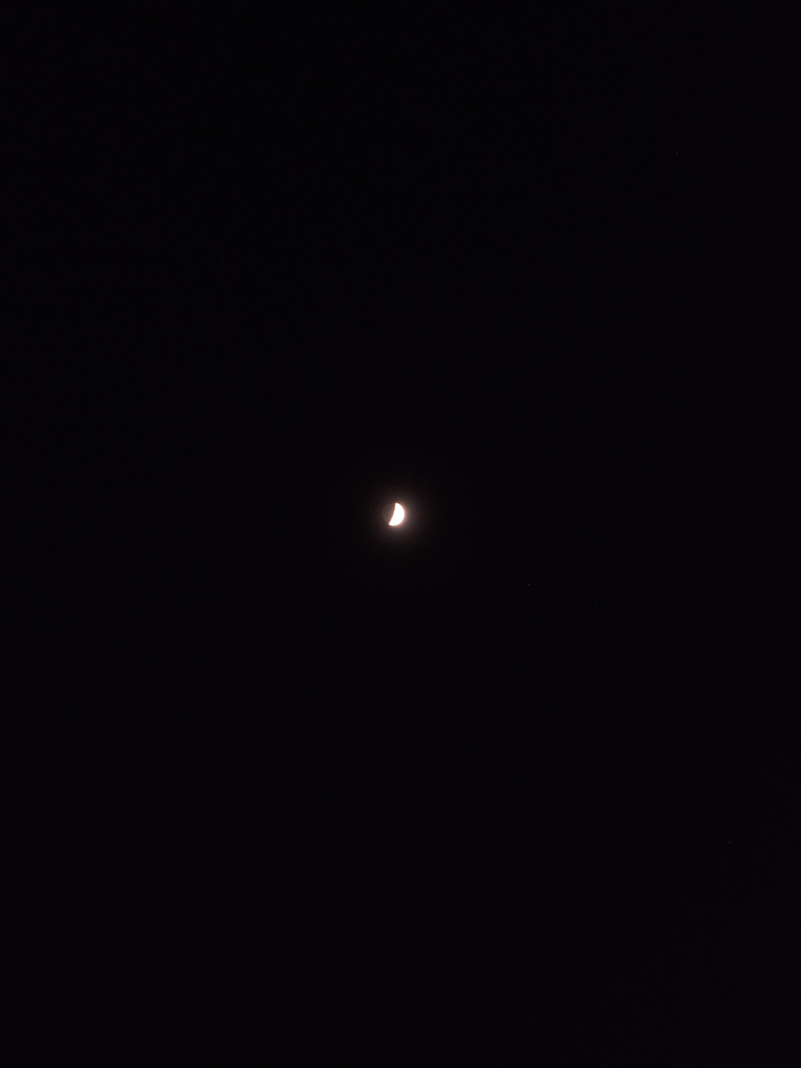 Другое 3. Jorgis — фотограф в Хургаде / обучение фотографии